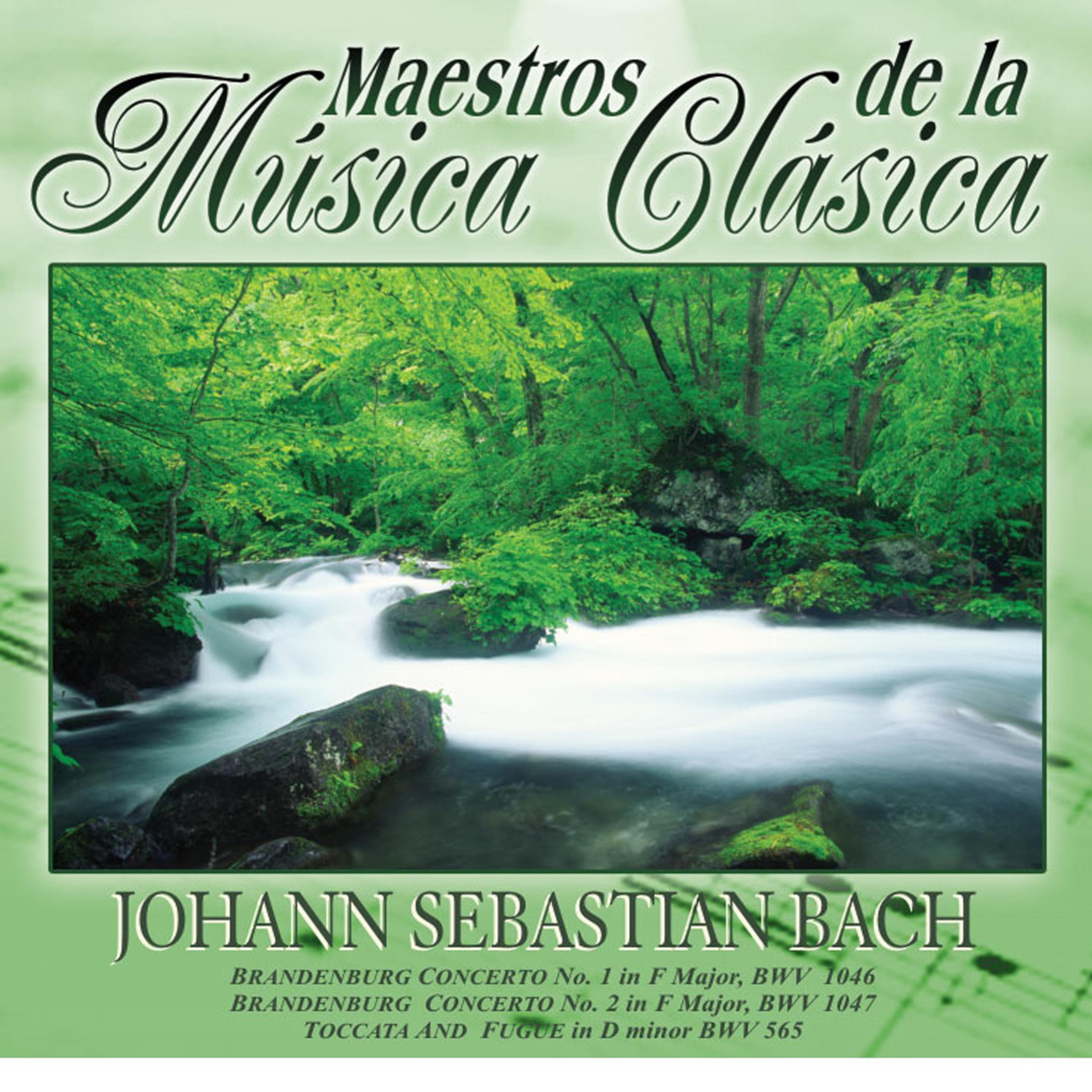 Постер альбома Maestros de la musica clasica - Johann Sabastian Bach