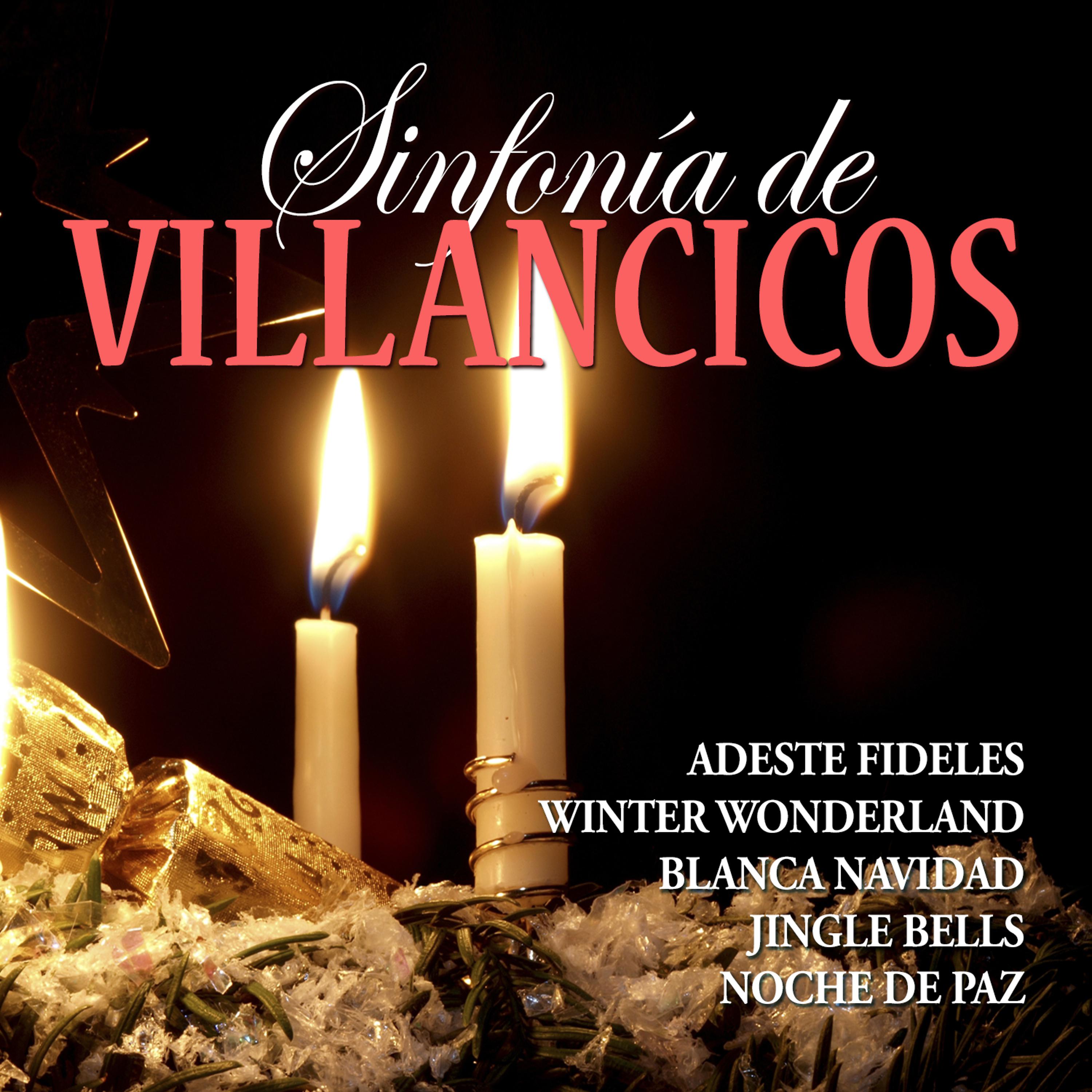Постер альбома Sinfonìa de Villancicos