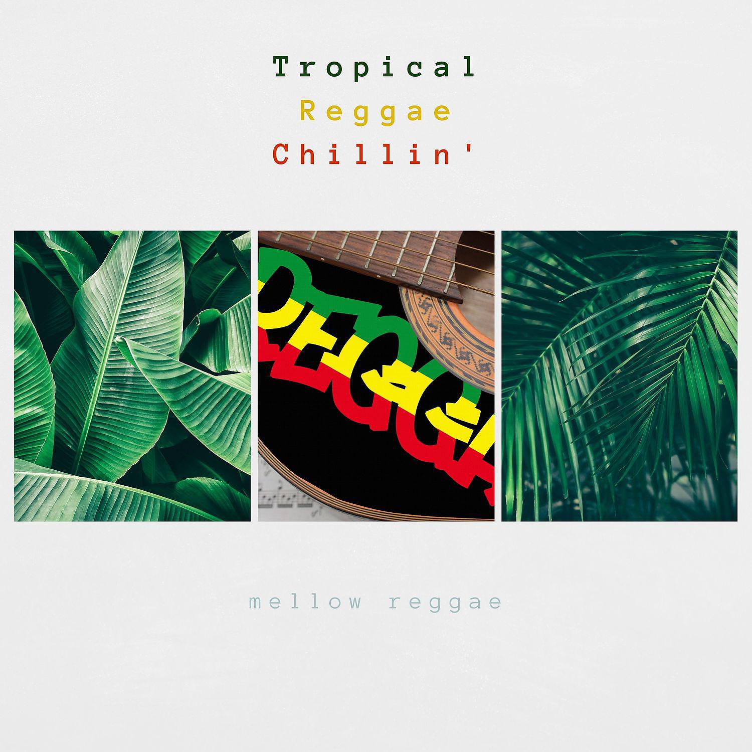 Постер альбома Tropical Reggae, Chillin'