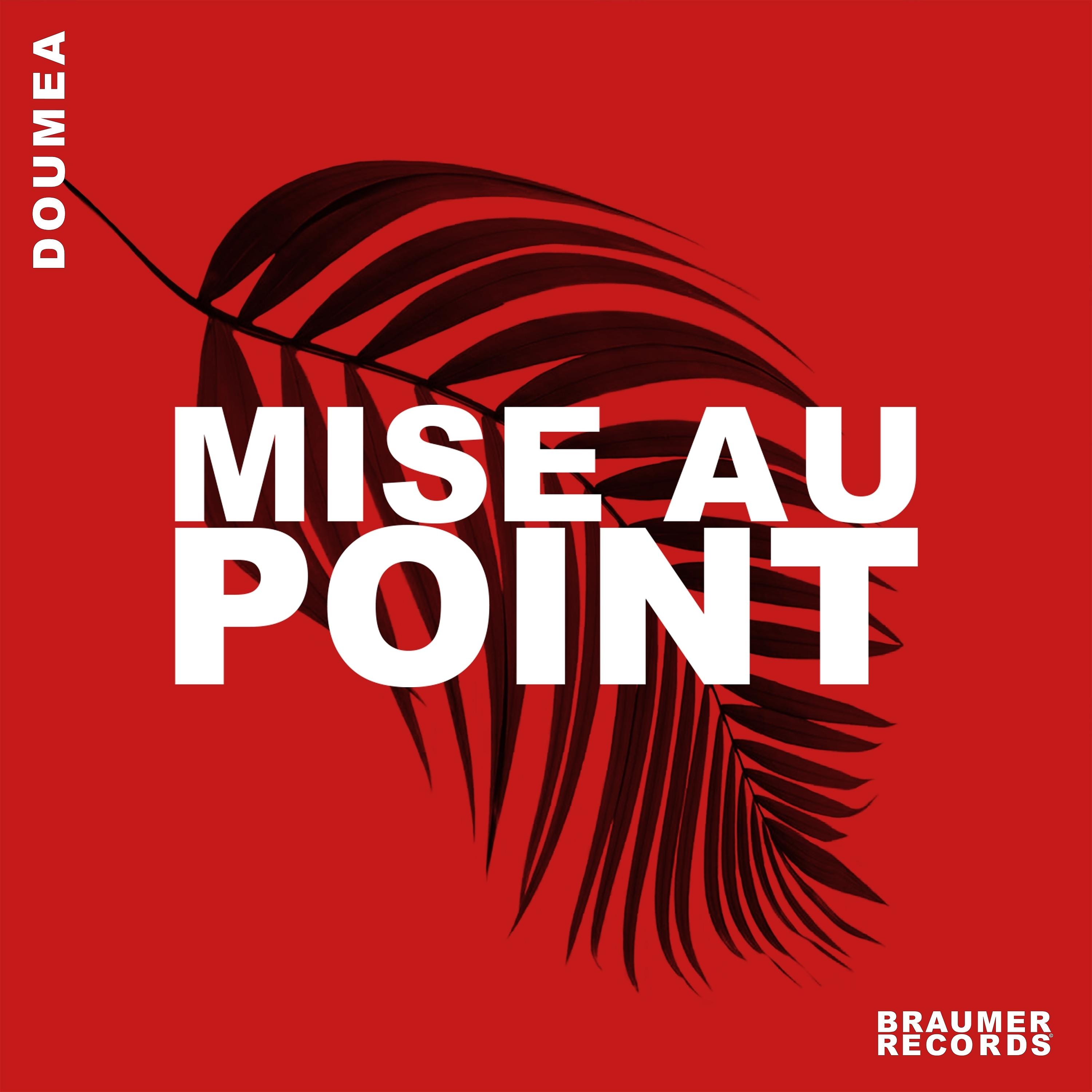 Постер альбома Mise au point