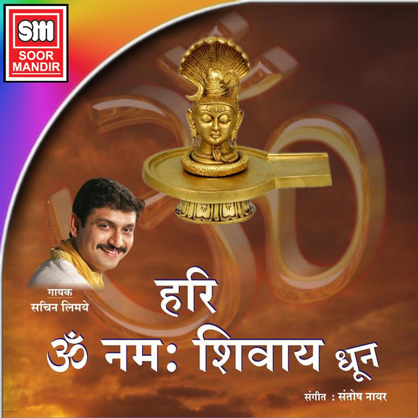 Постер альбома Hari Om Namah Shivay