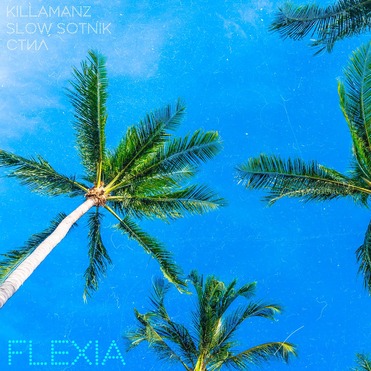 Постер альбома Flexia