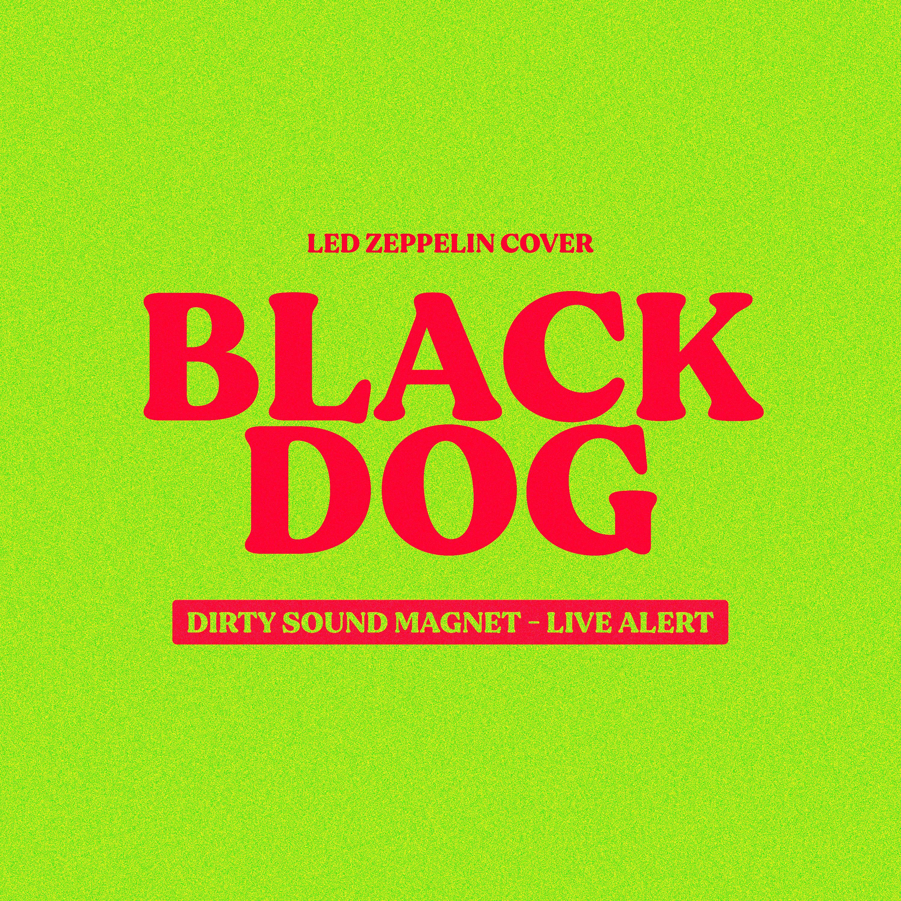 Постер альбома Black Dog (Live Alert - Dirty Sound Magnet Cover)
