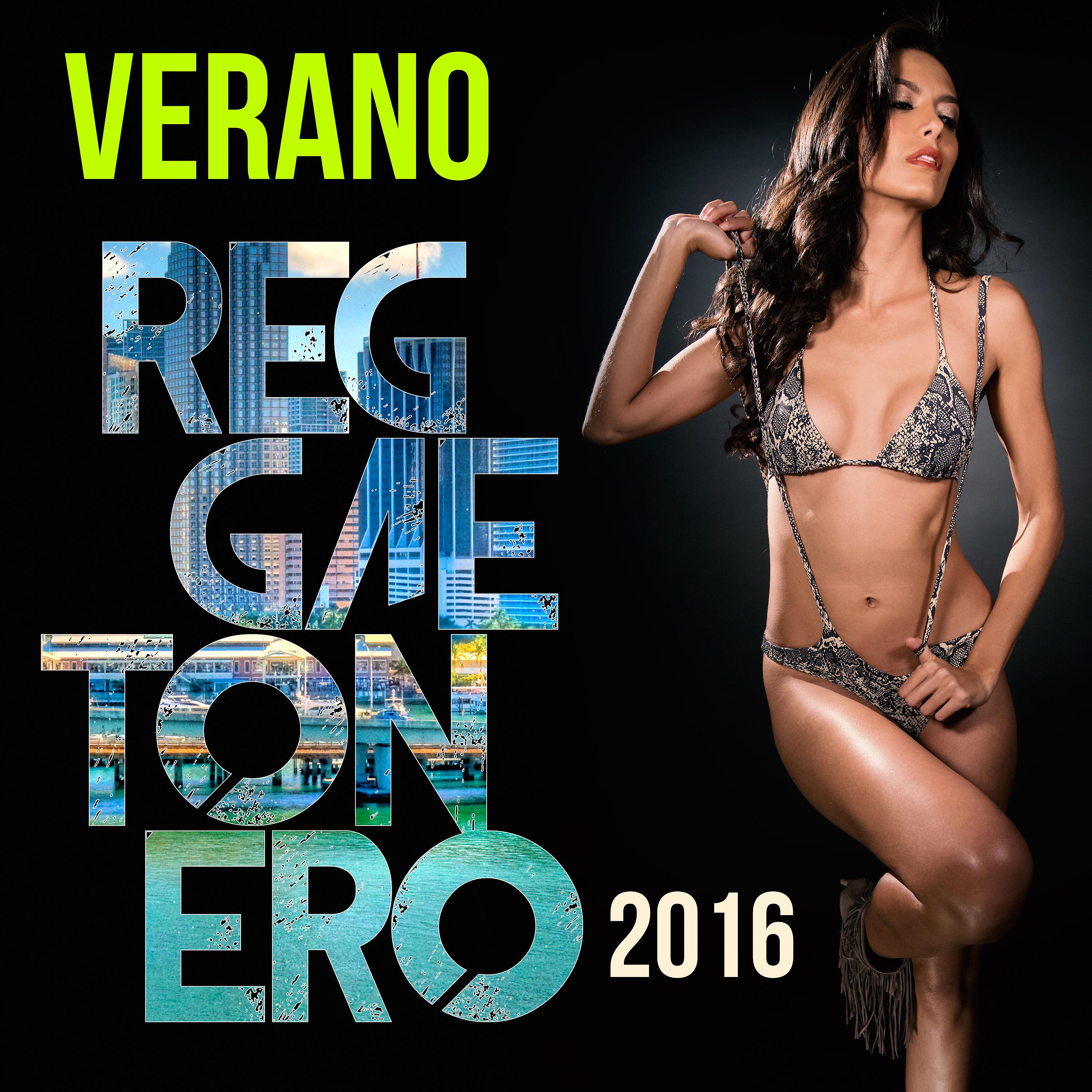 Постер альбома Verano Reggaetonero 2016