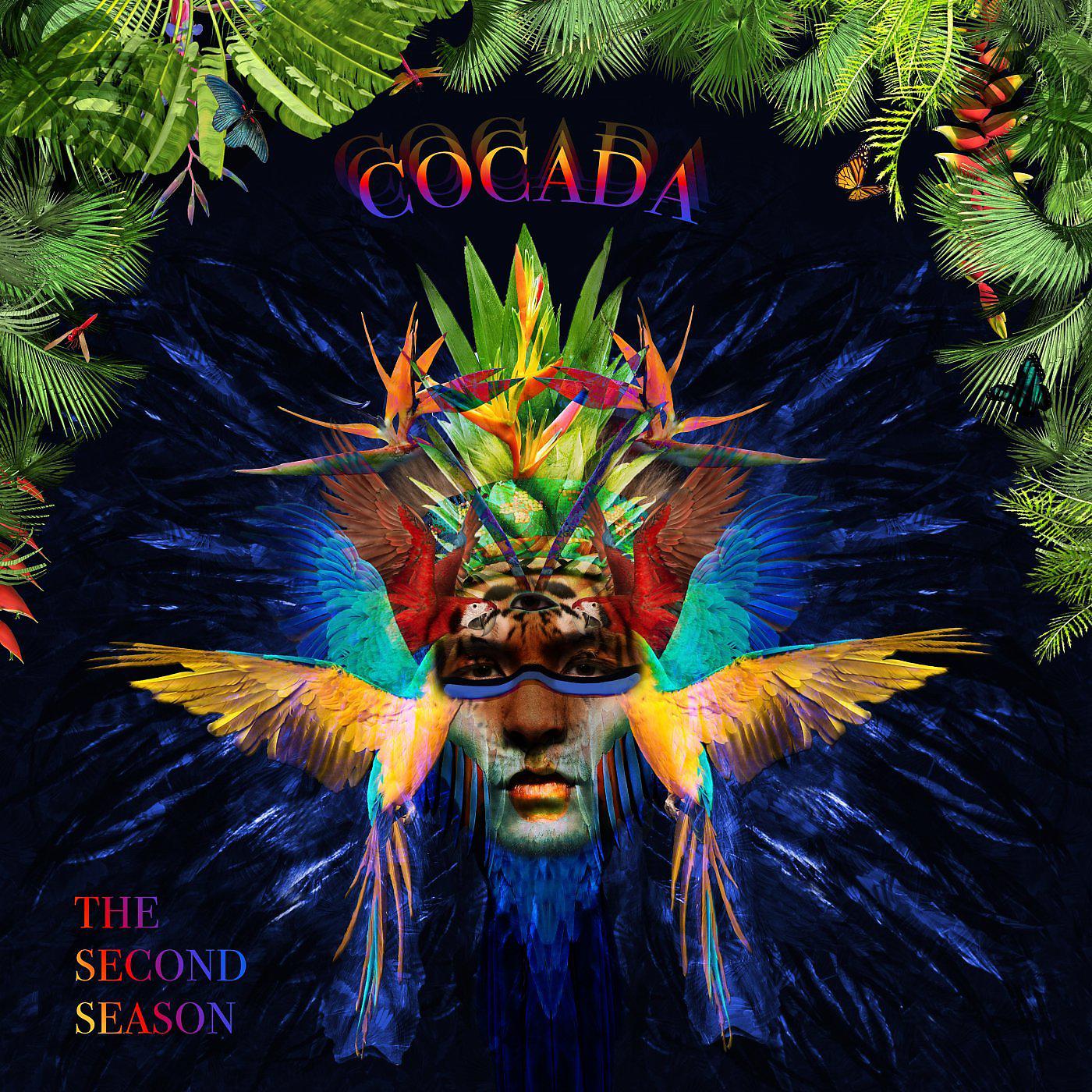 Постер альбома Cocada - The Second Season by Leo Janeiro