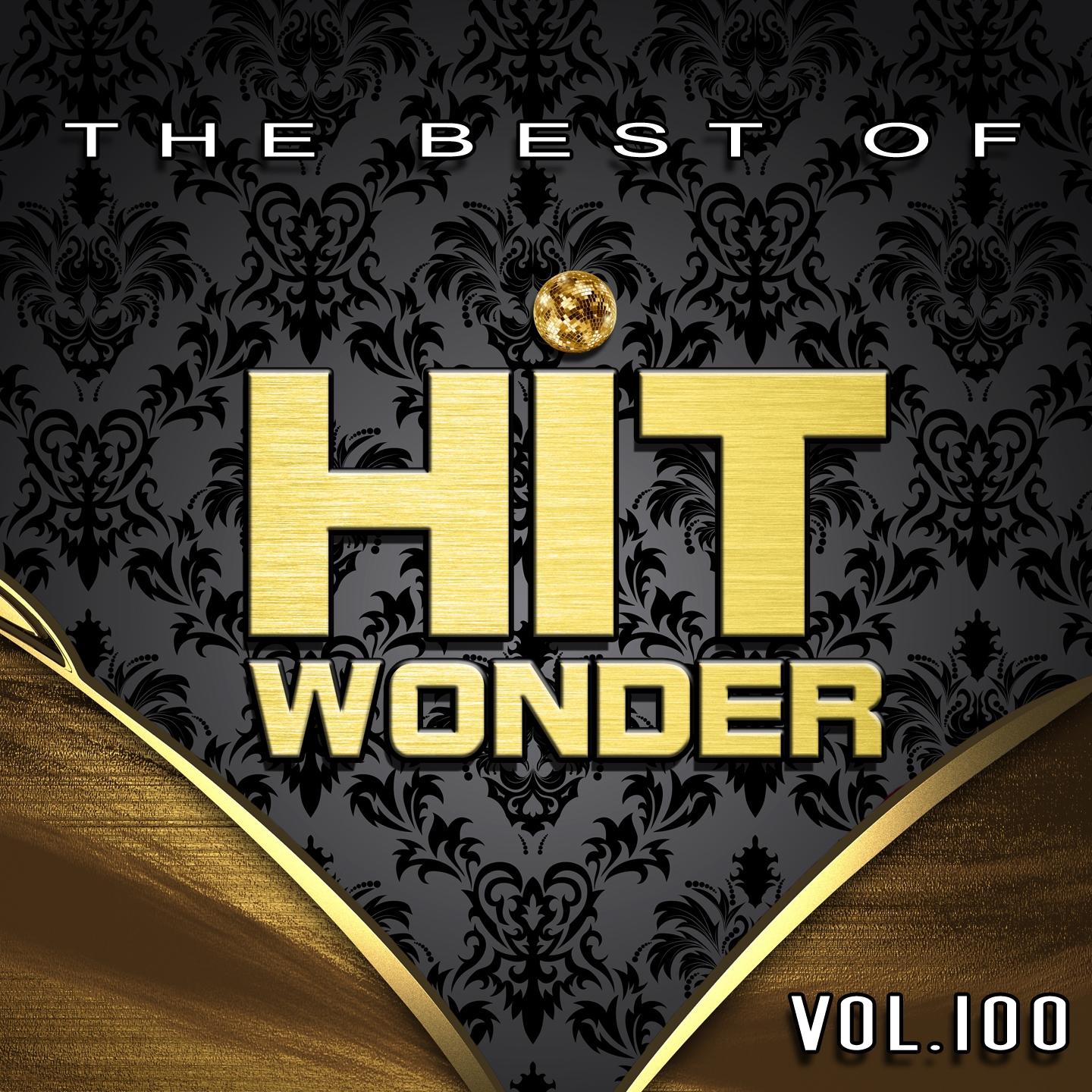 Постер альбома Hit Wonder: The Best of, Vol. 100