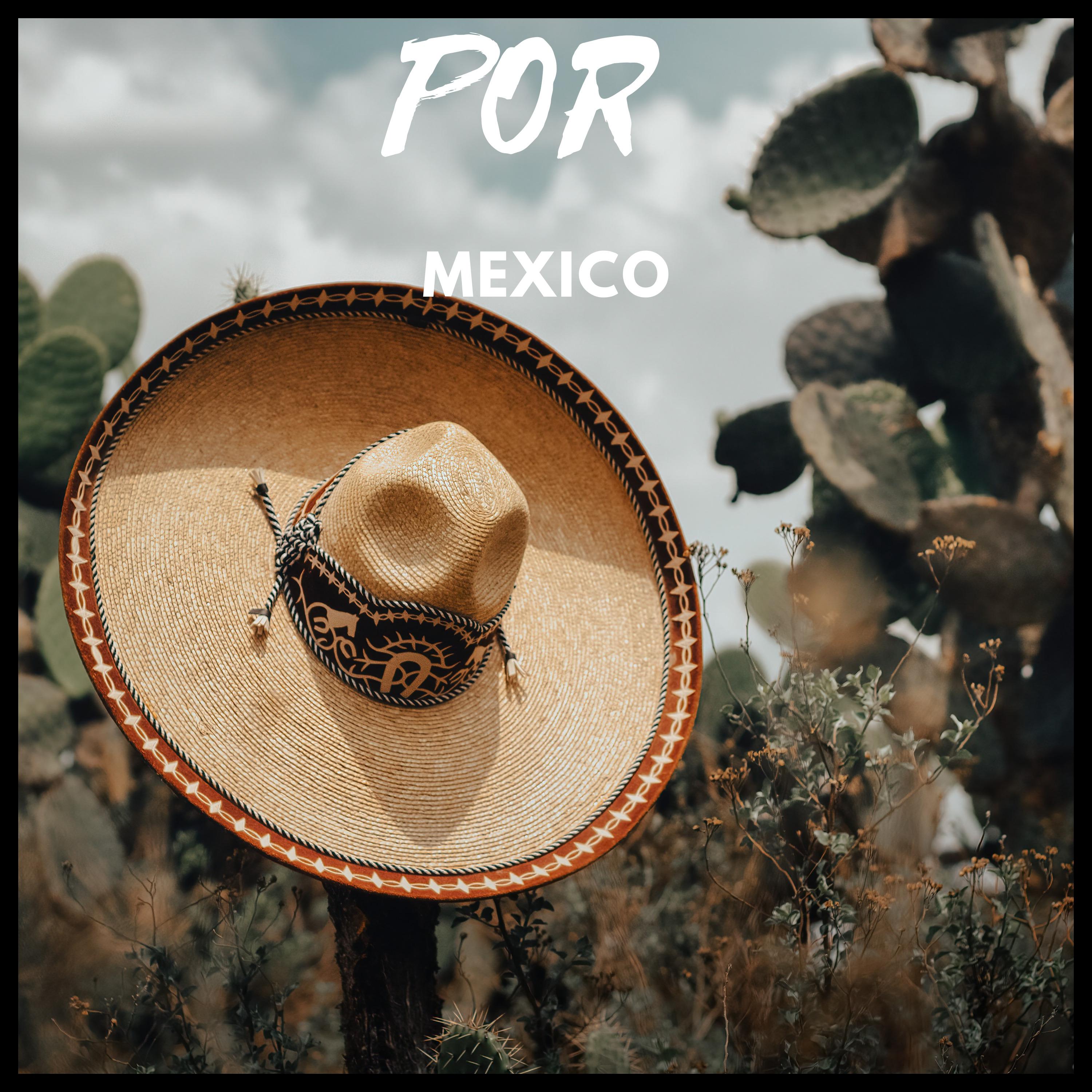 Постер альбома Por Mexico