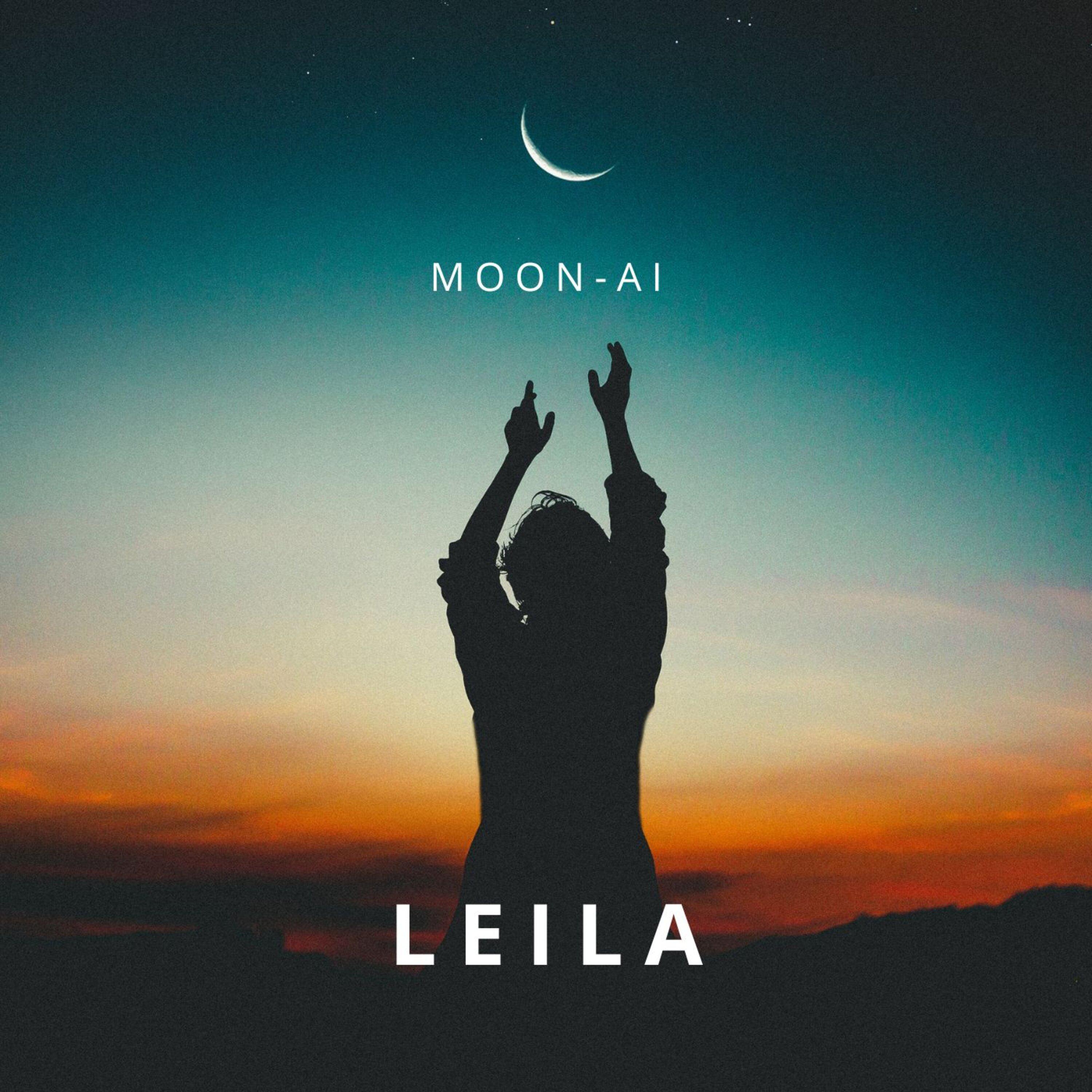 Постер альбома Leila