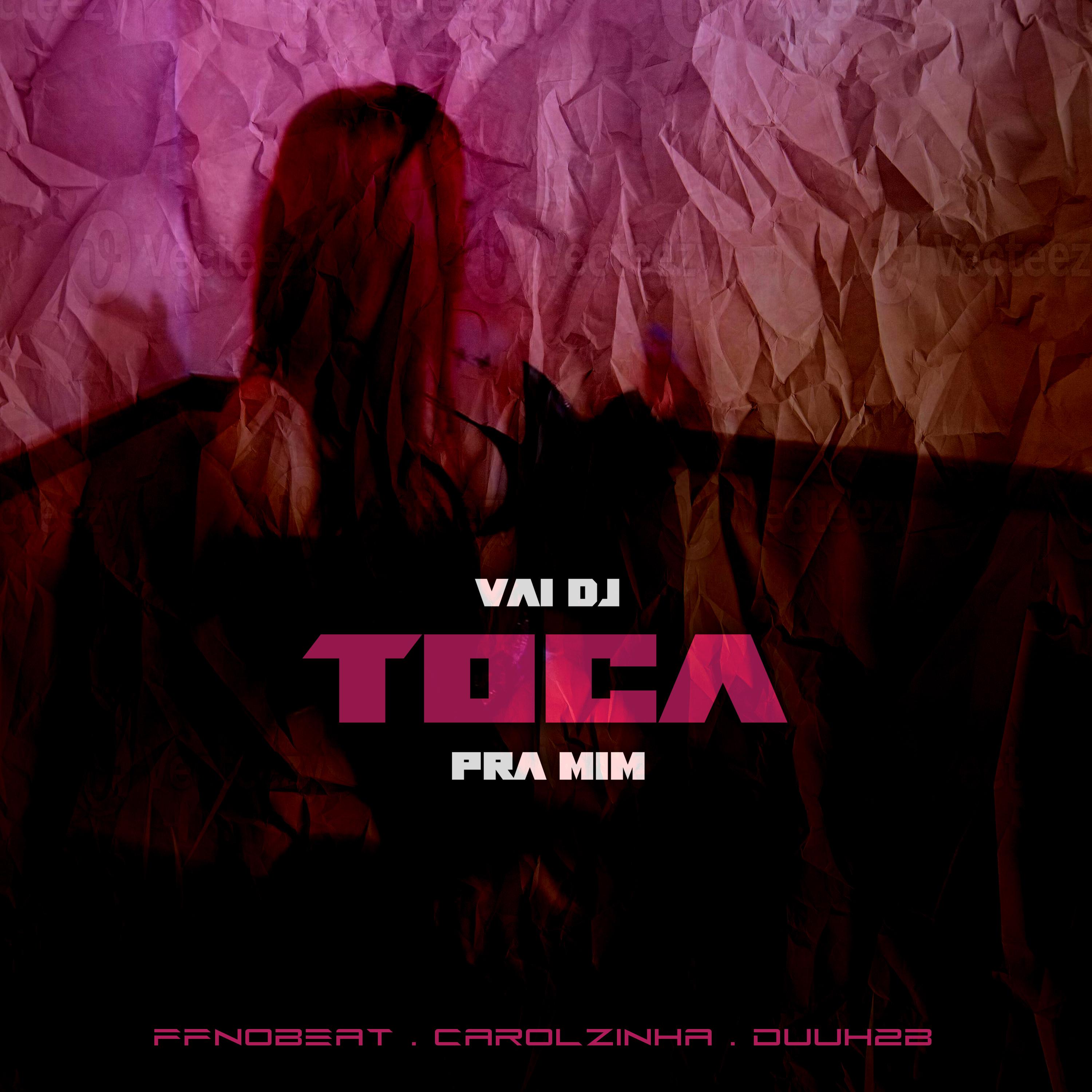 Постер альбома Vai Dj Toca pra Mim