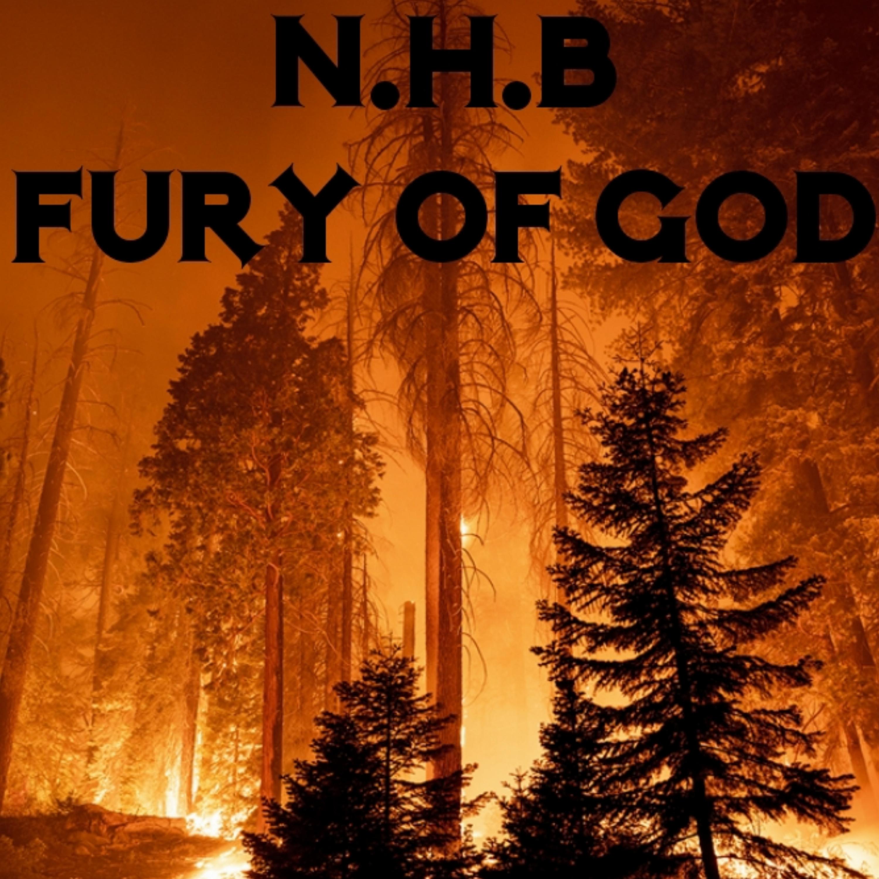 Постер альбома Fury of God