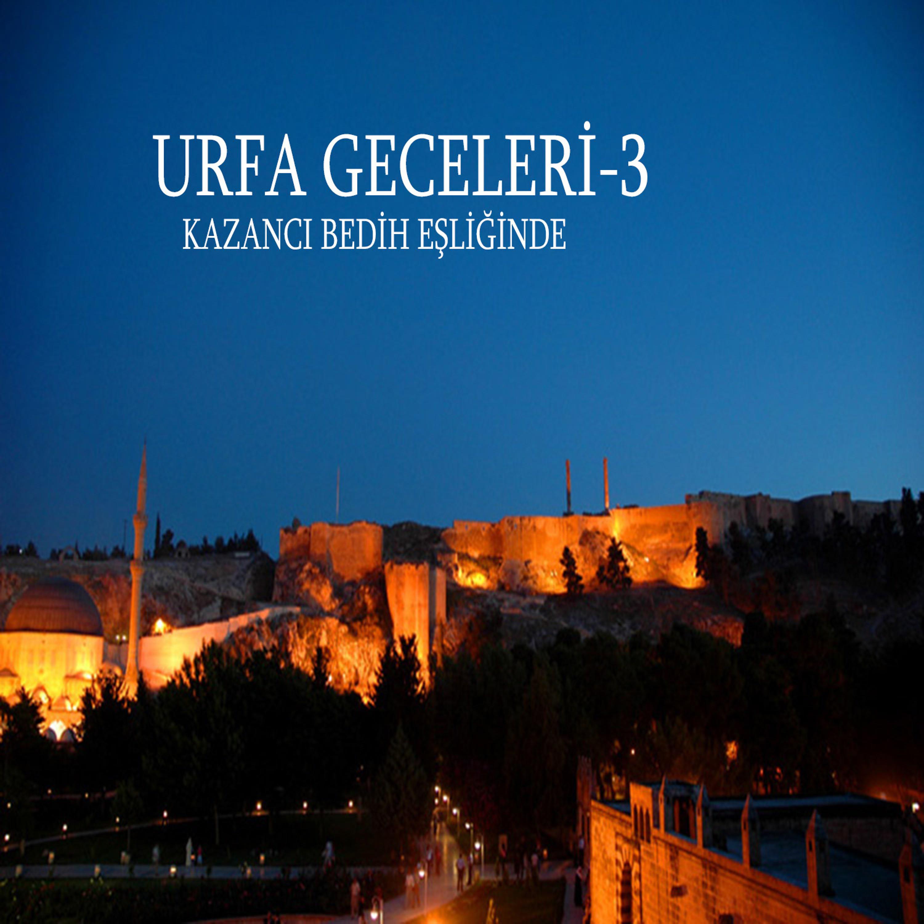 Постер альбома Urfa Geceleri-3