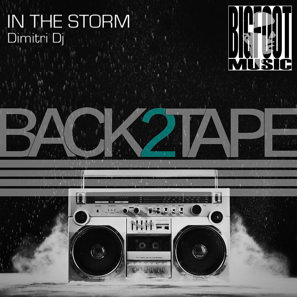 Постер альбома In The Storm