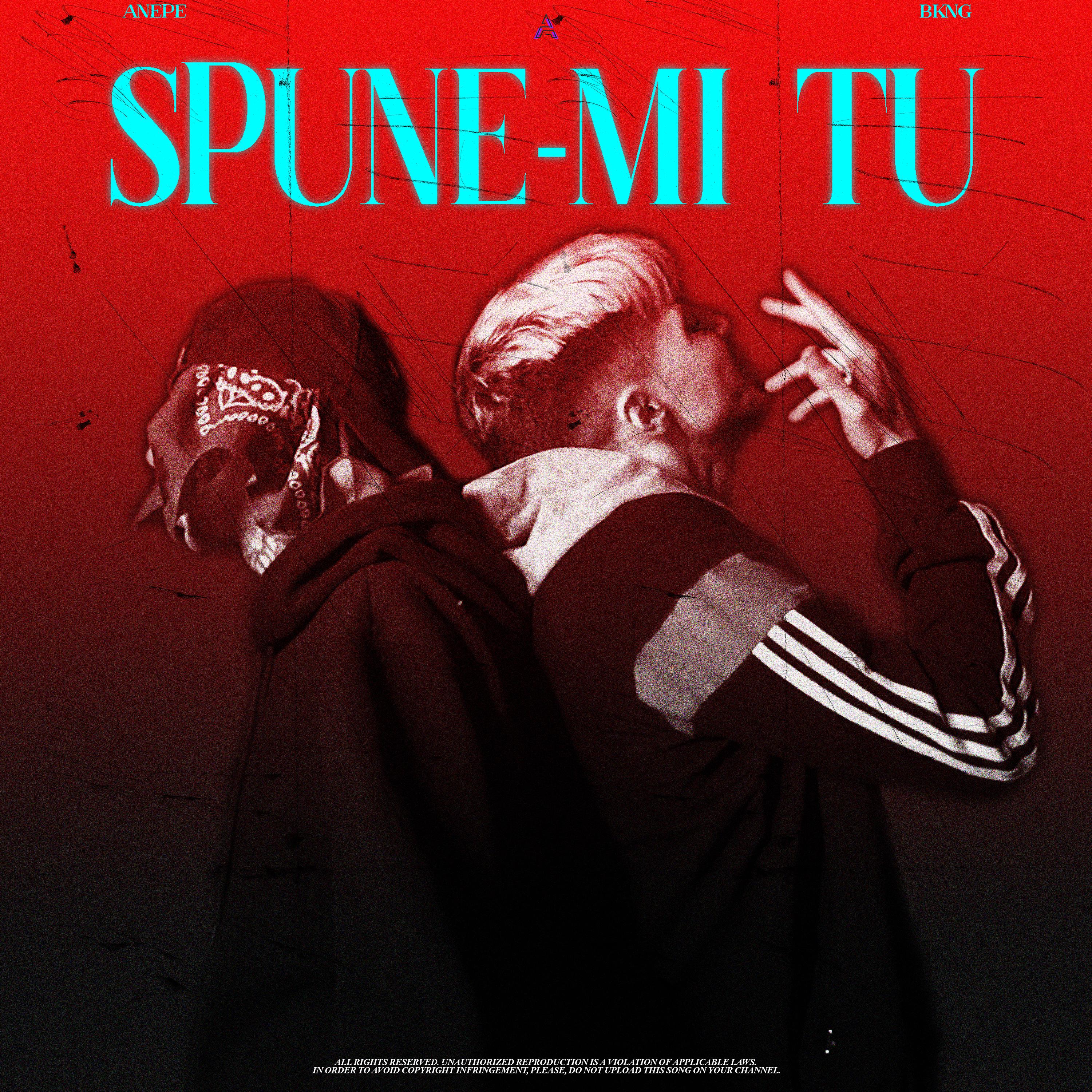 Постер альбома SPUNE-MI TU