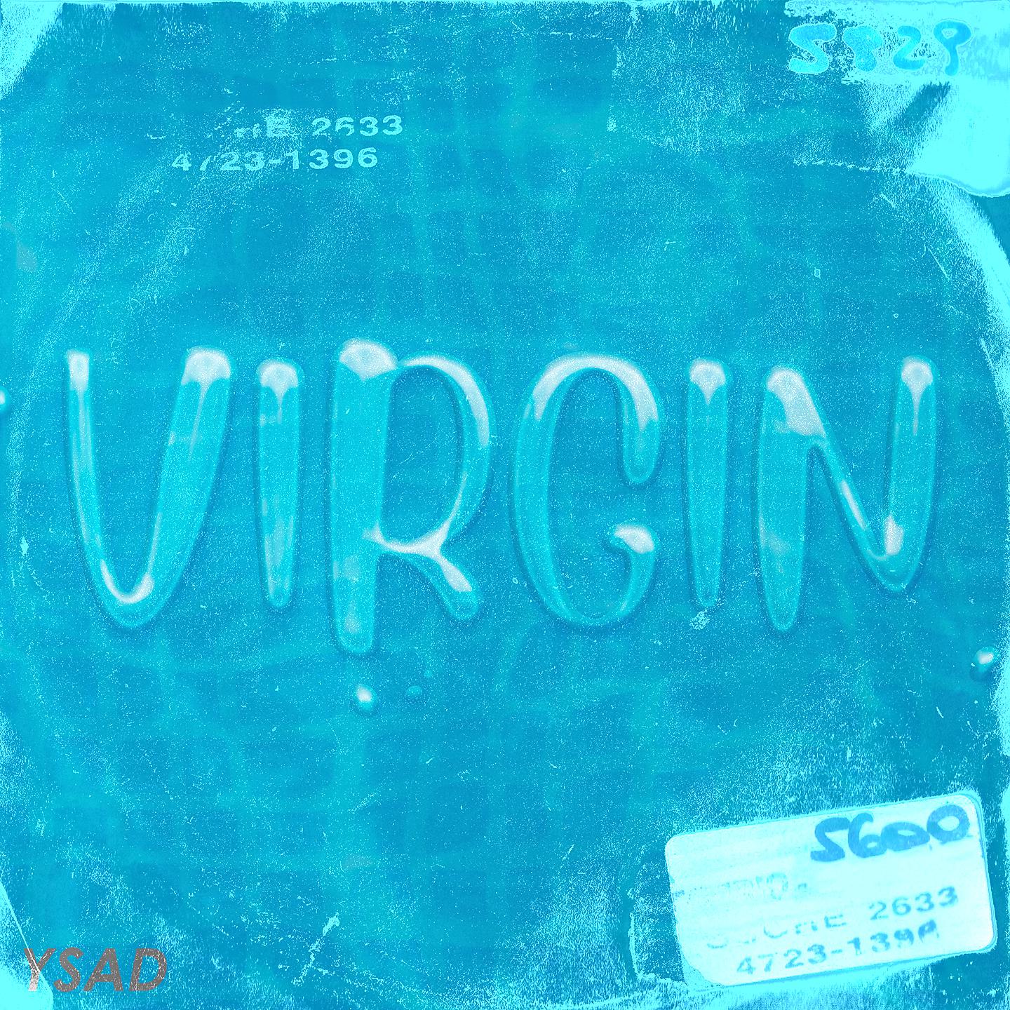 Постер альбома VIRGIN