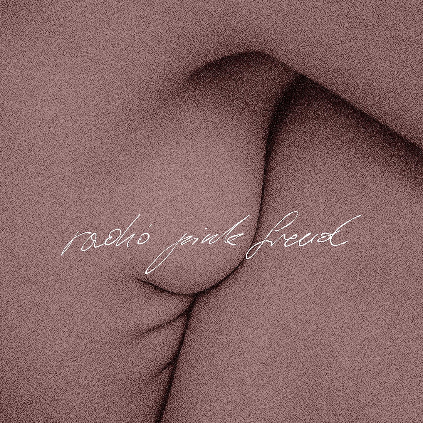 Постер альбома Radio Pink Freud