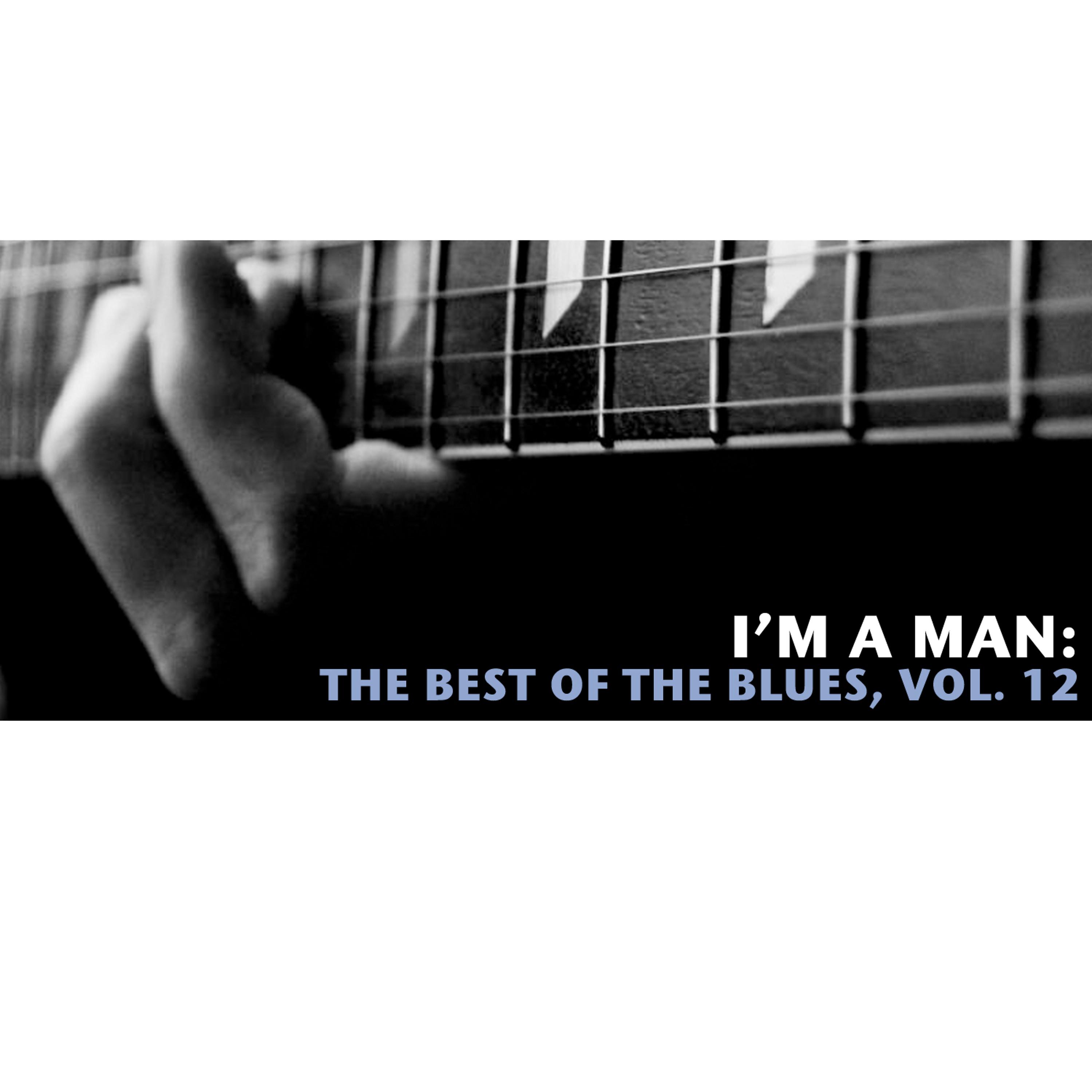Постер альбома I'm a Man: The Best of the Blues, Vol. 12