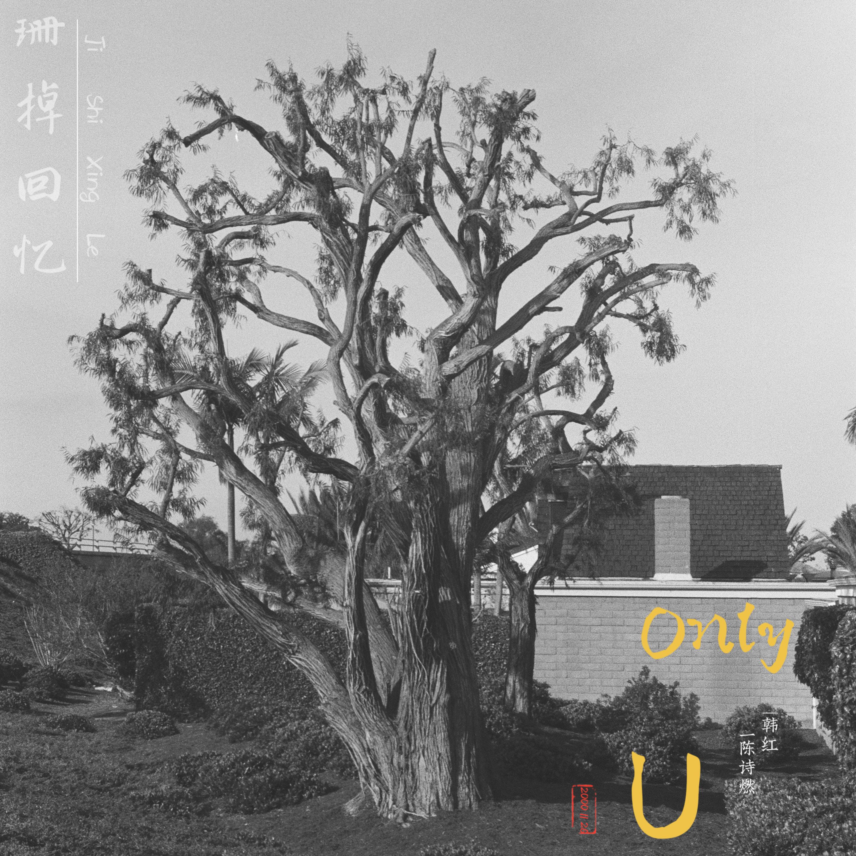 Постер альбома Only U