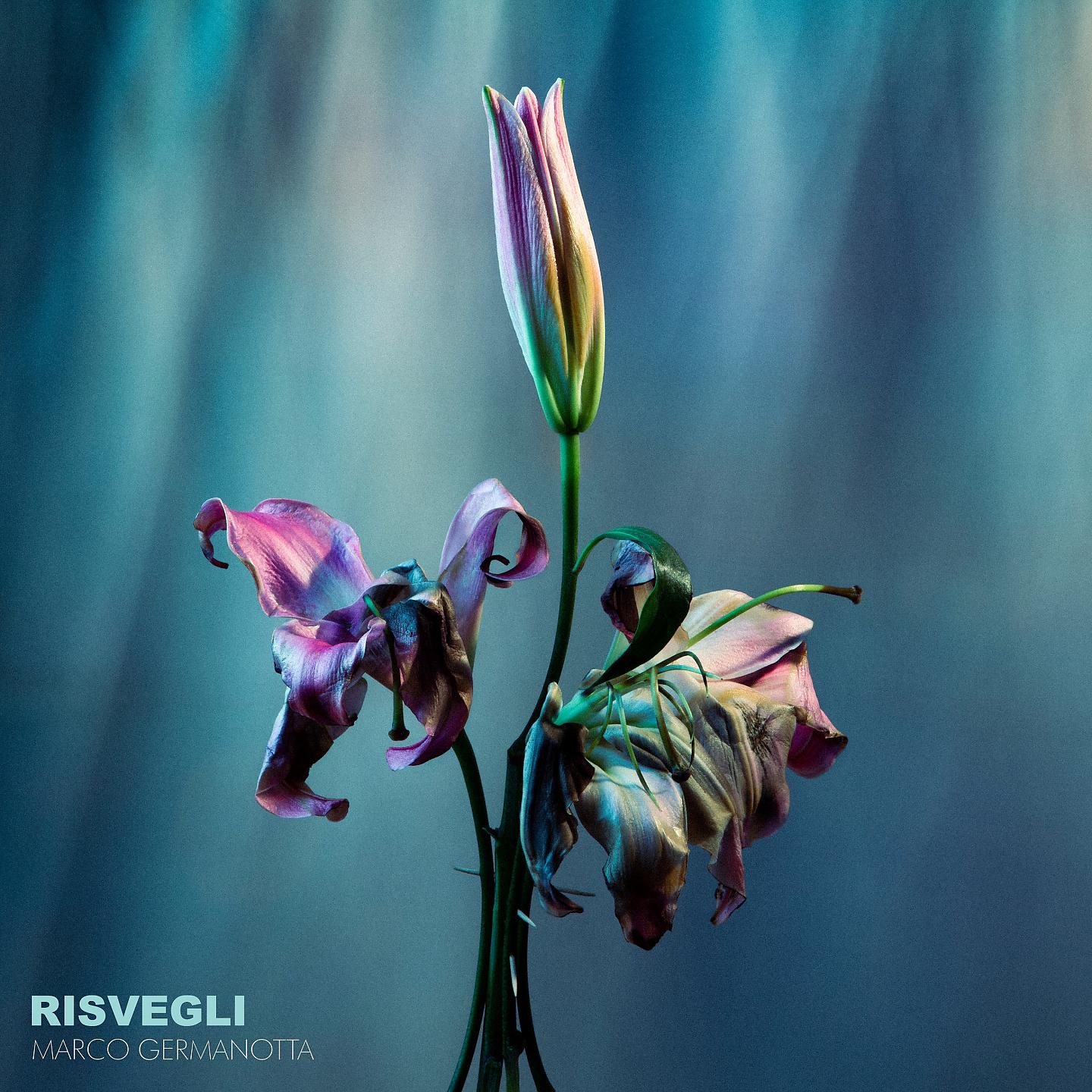 Постер альбома Risvegli
