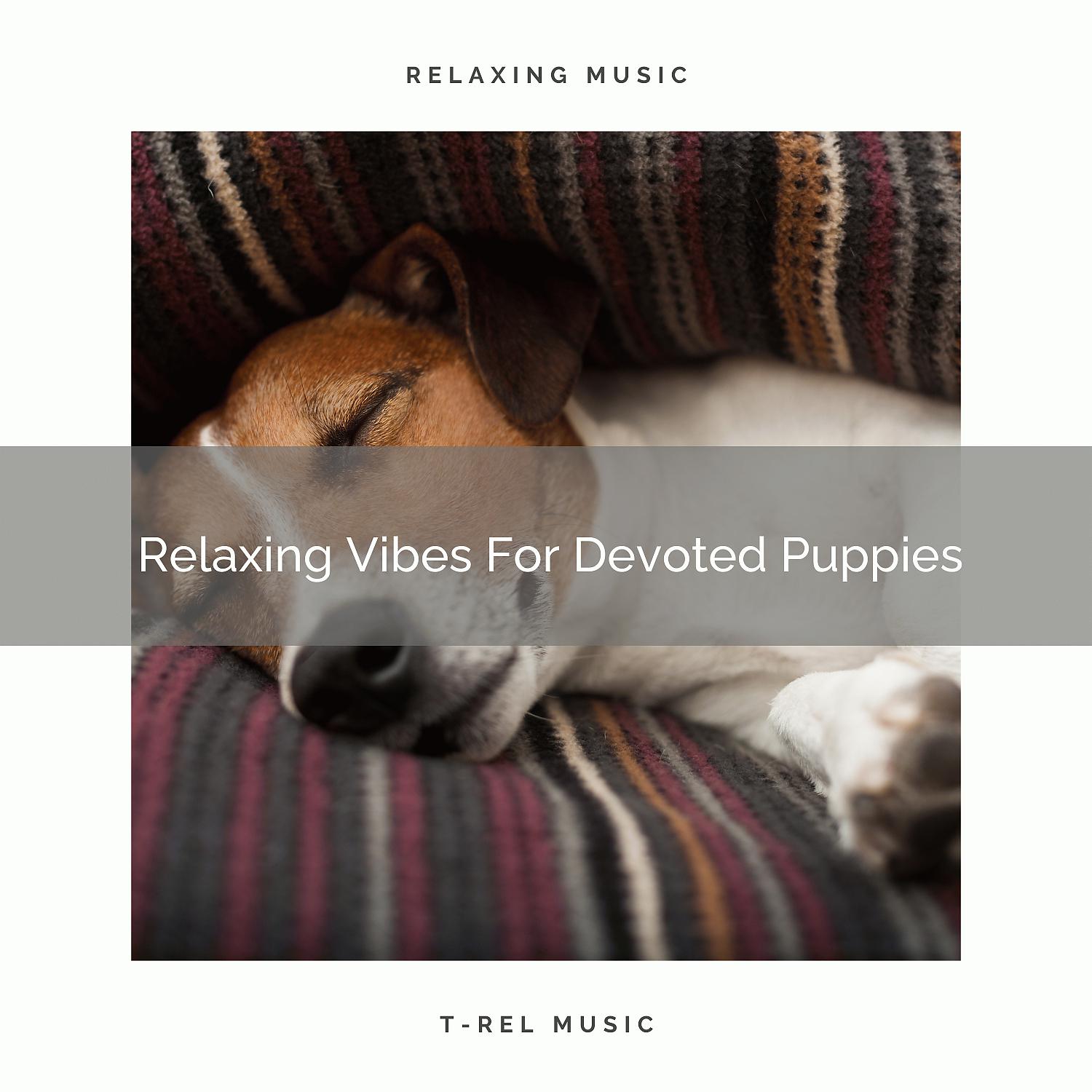 Постер альбома Relaxing Vibes For Devoted Puppies