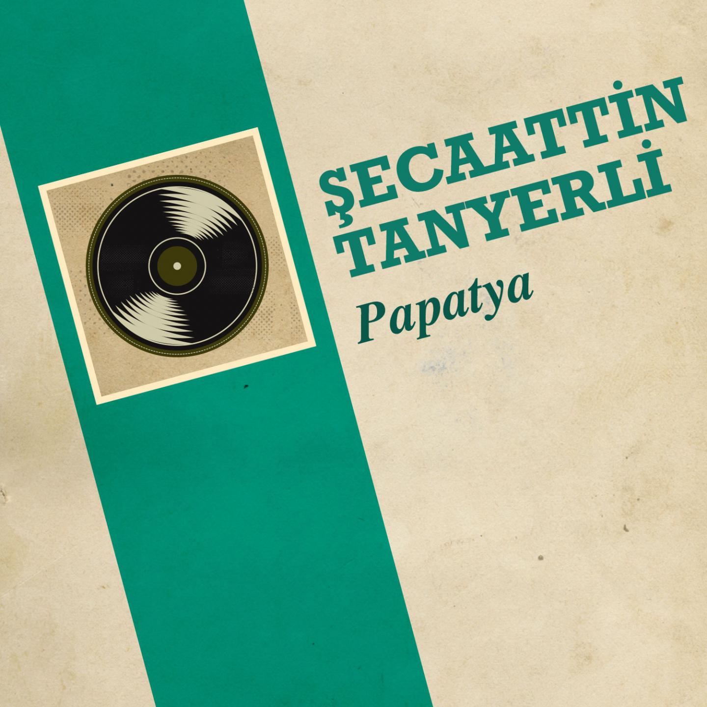 Постер альбома Papatya