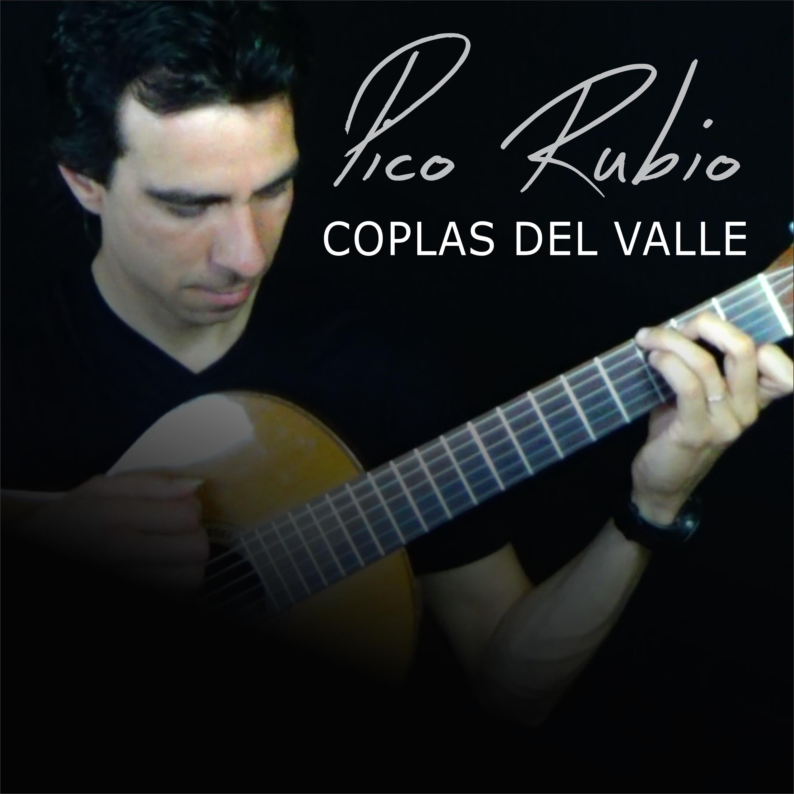 Постер альбома Coplas del Valle