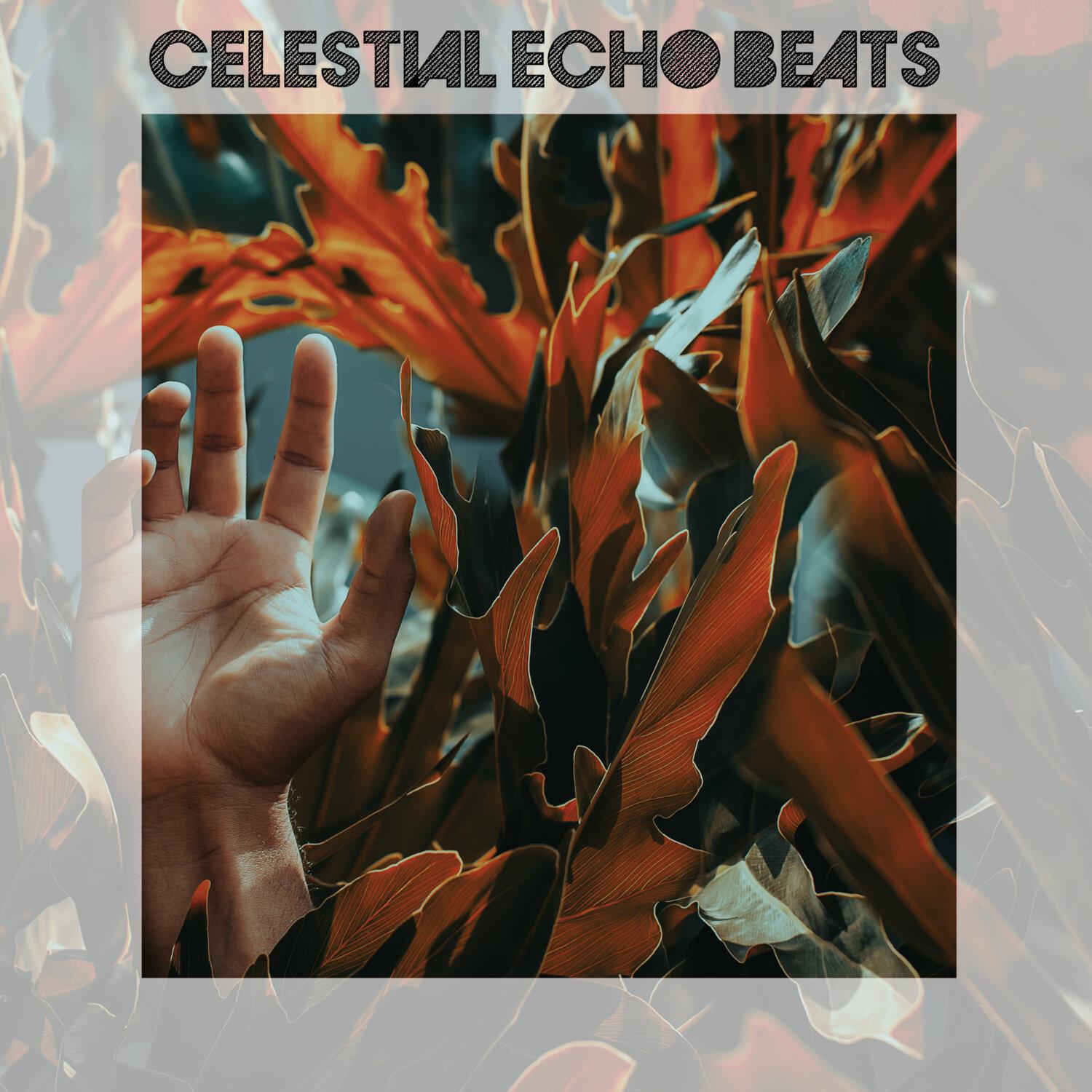 Постер альбома Celestial Echo Beats
