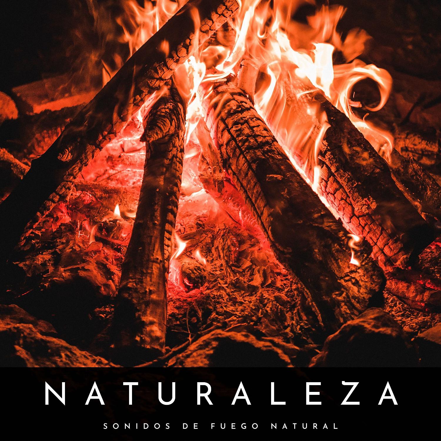 Постер альбома Naturaleza: Sonidos De Fuego Natural