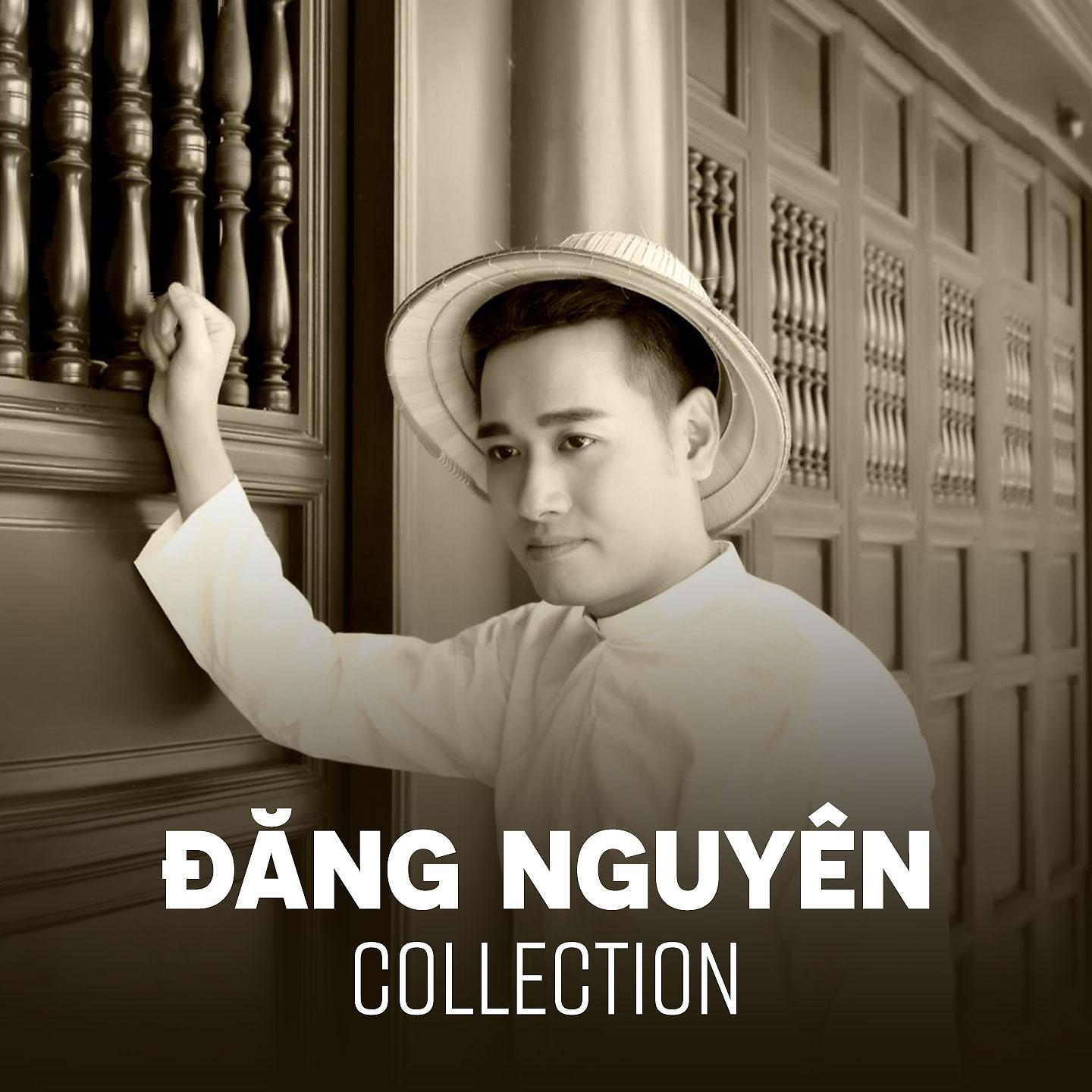 Постер альбома Đăng Nguyên Collection