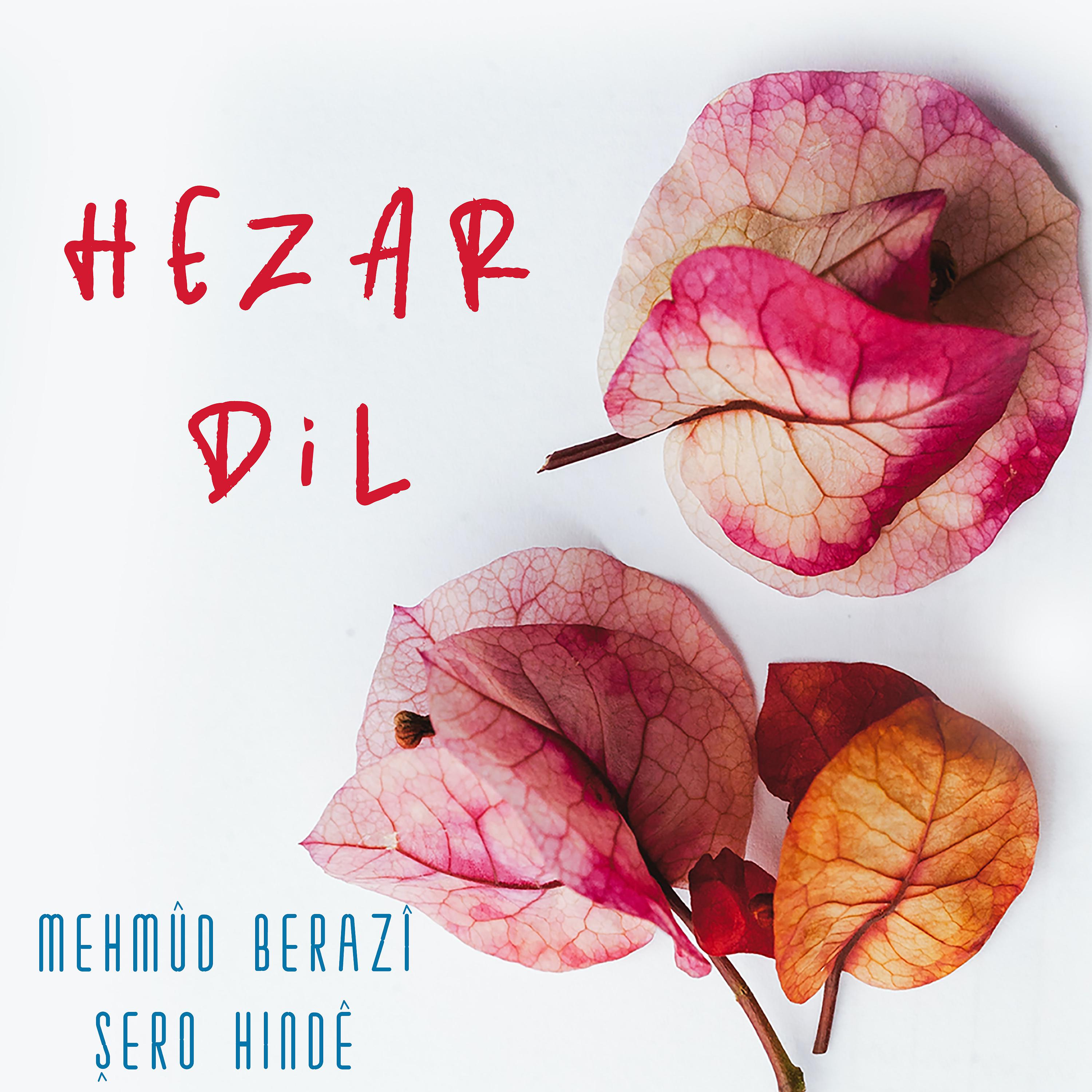 Постер альбома Hezar Dil
