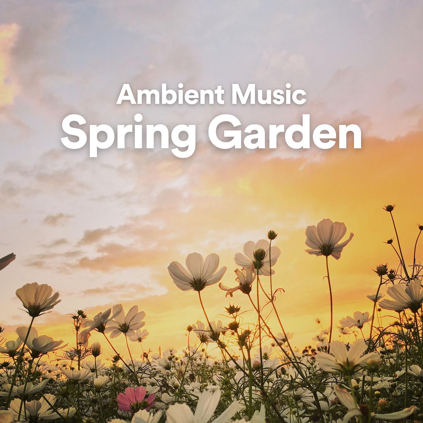 Постер альбома Ambient Music Spring Garden