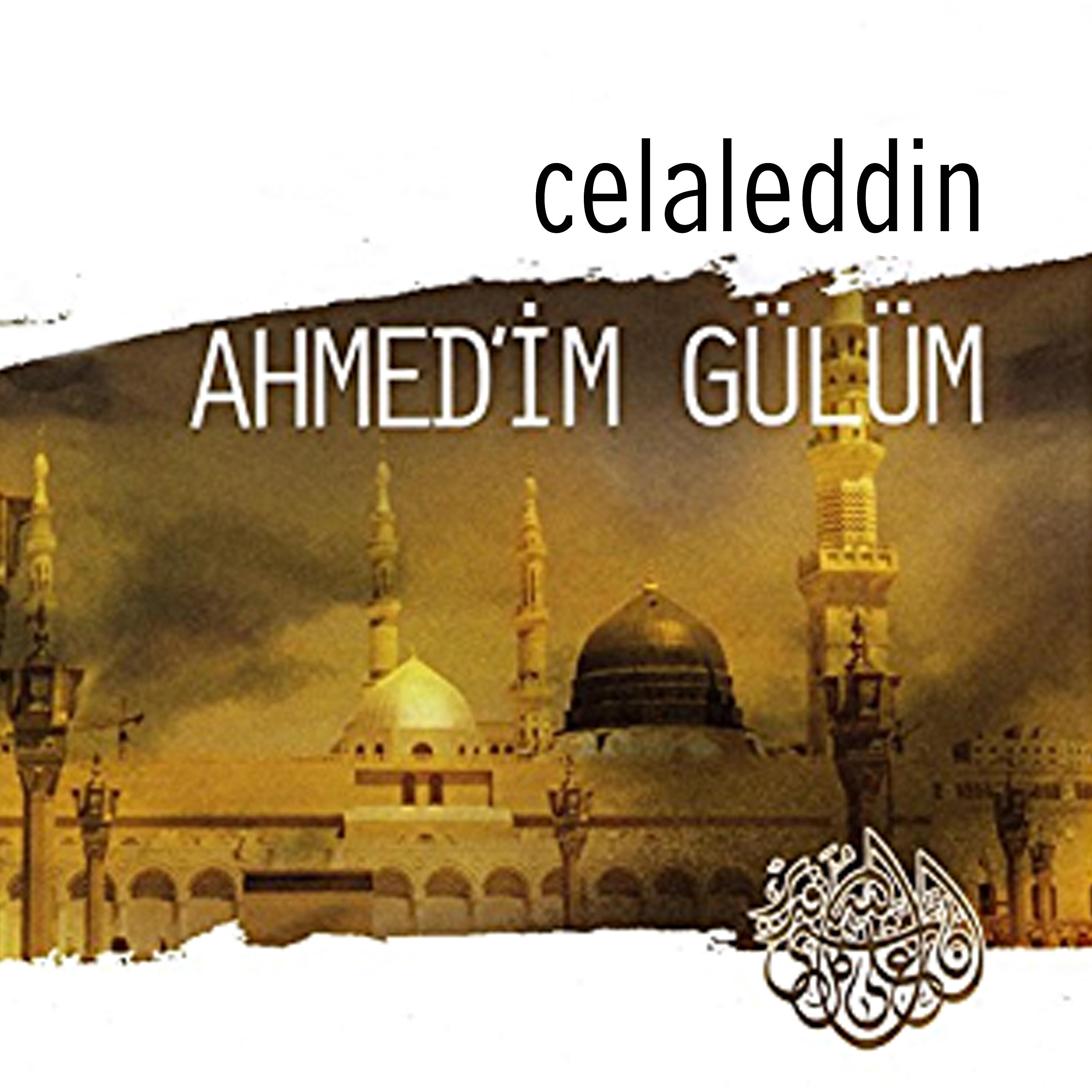 Постер альбома Ahmedim Gülüm