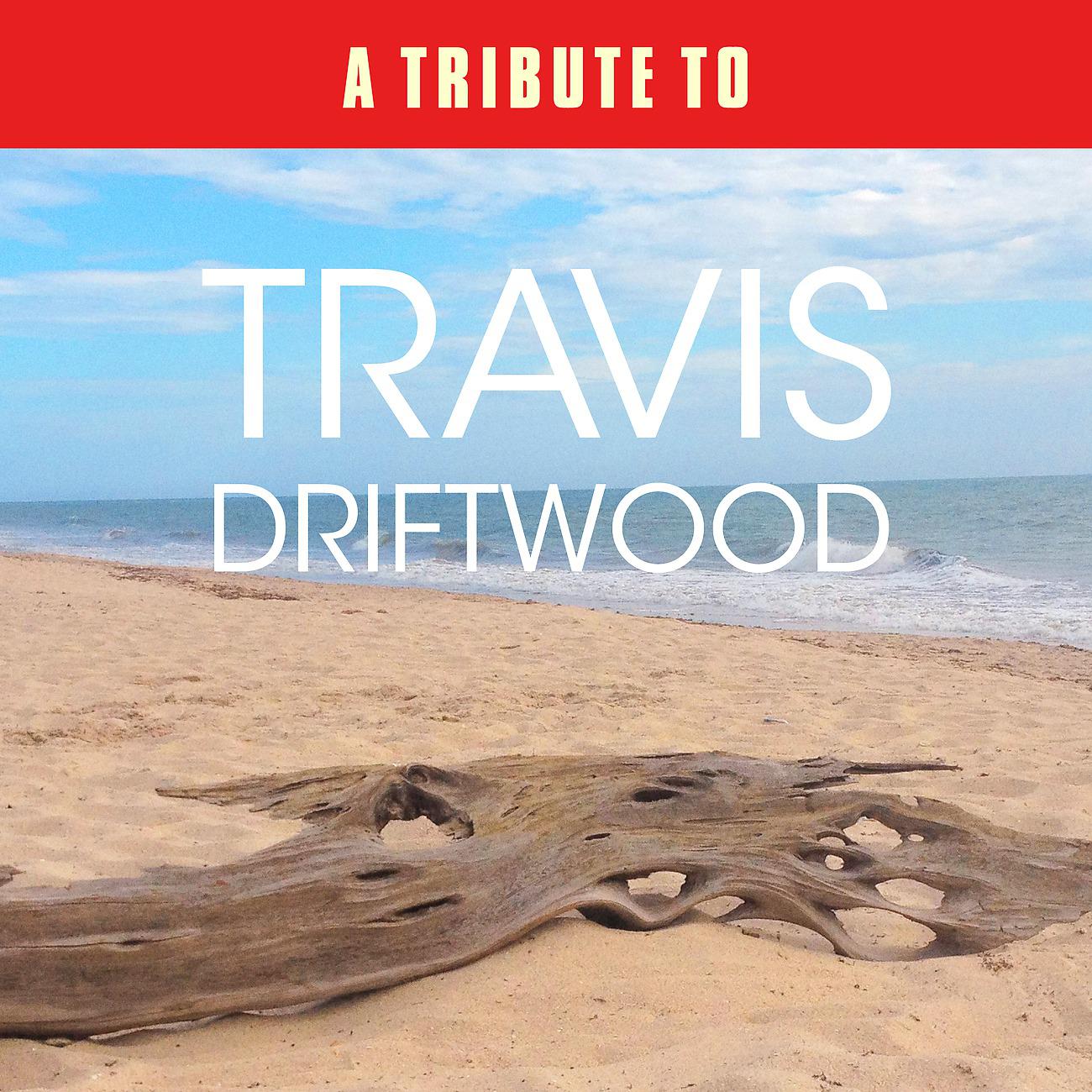 Постер альбома A Tribute to Travis Driftwood