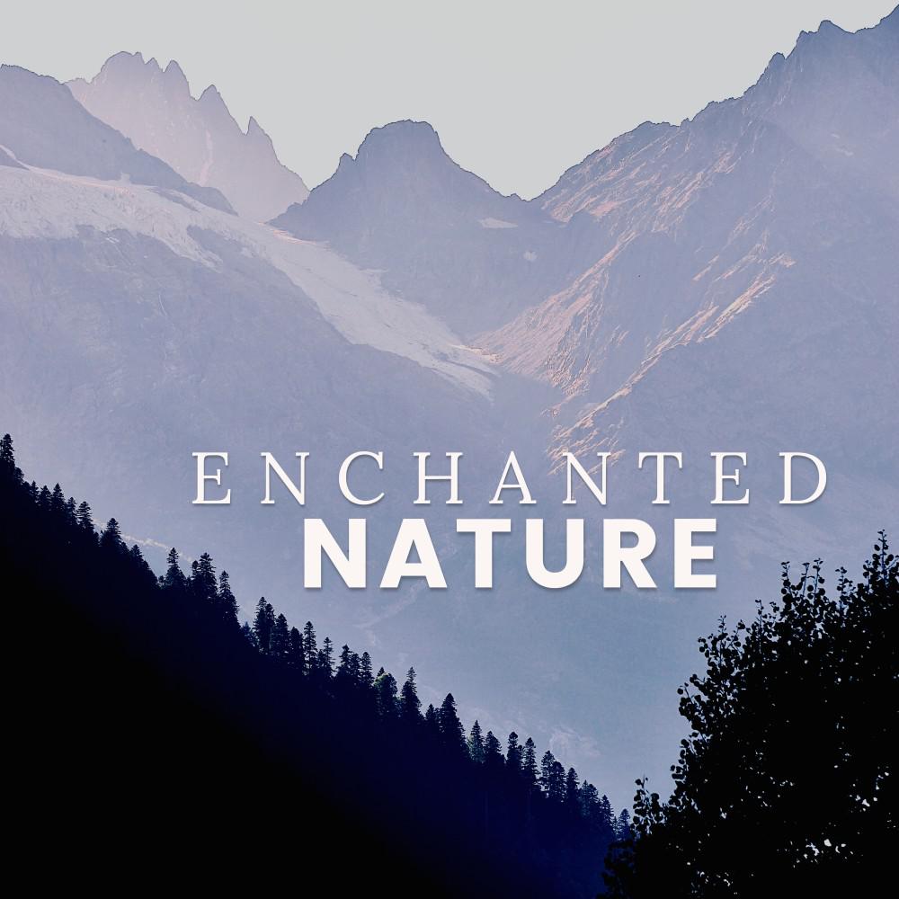 Постер альбома Enchanted Nature