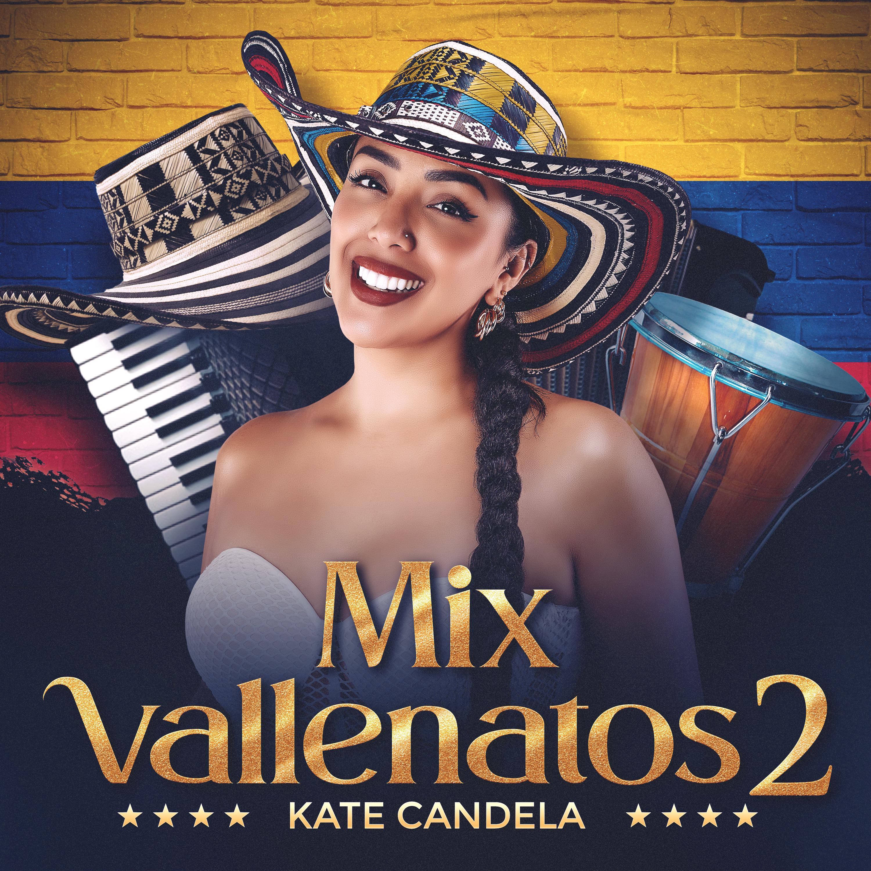 Постер альбома Mix Vallenatos 2 (Me Sobran las Palabras/Me Vas a Extrañar/Busco un Confidente/Si Tu Amor)