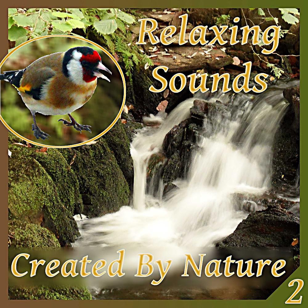 Постер альбома Relaxing Sounds Created by Nature - Part 2