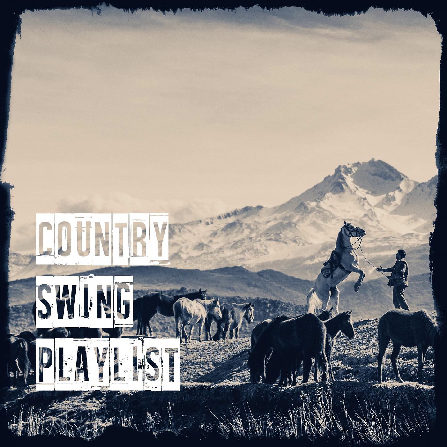 Постер альбома Country Swing Playlist