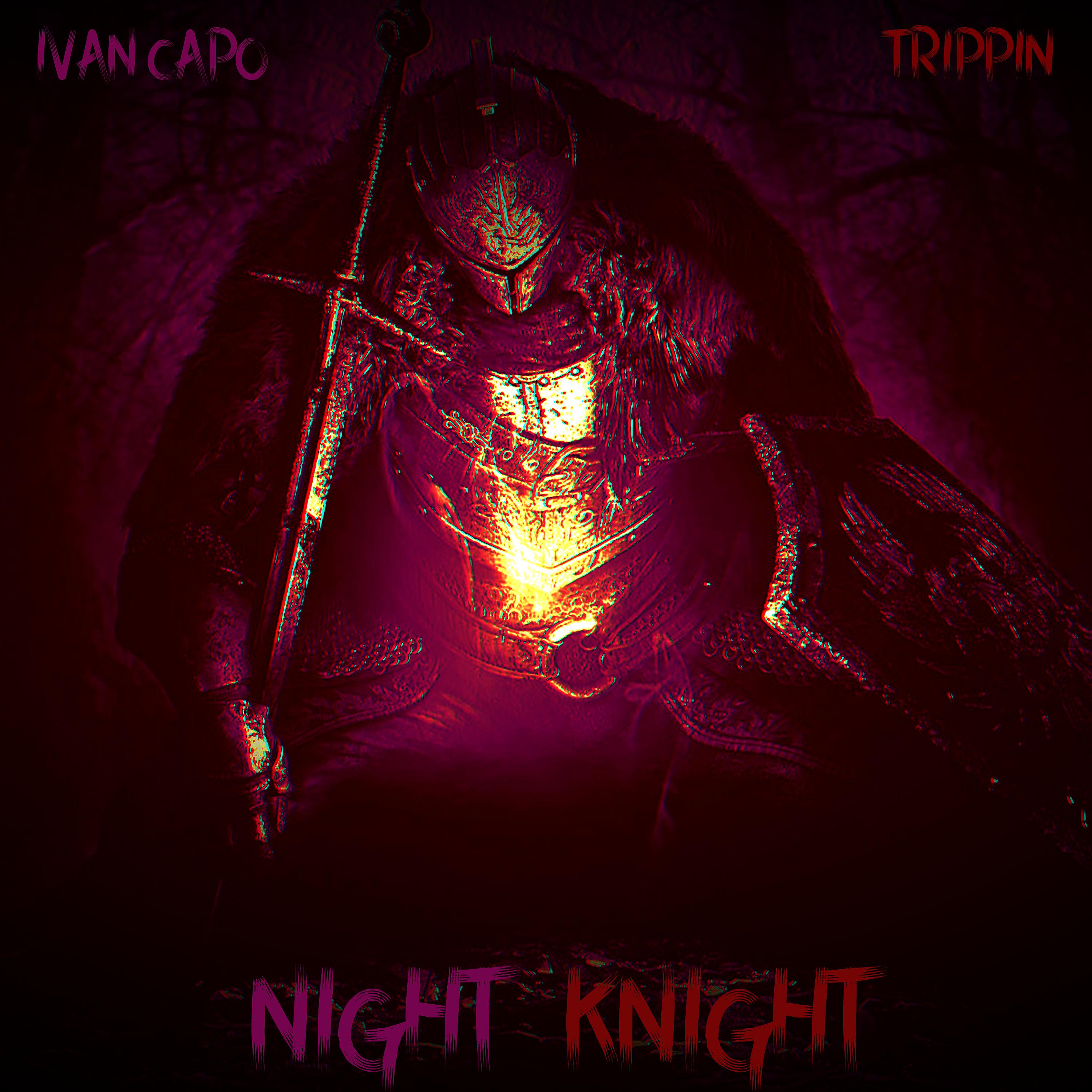 Постер альбома Night Knight