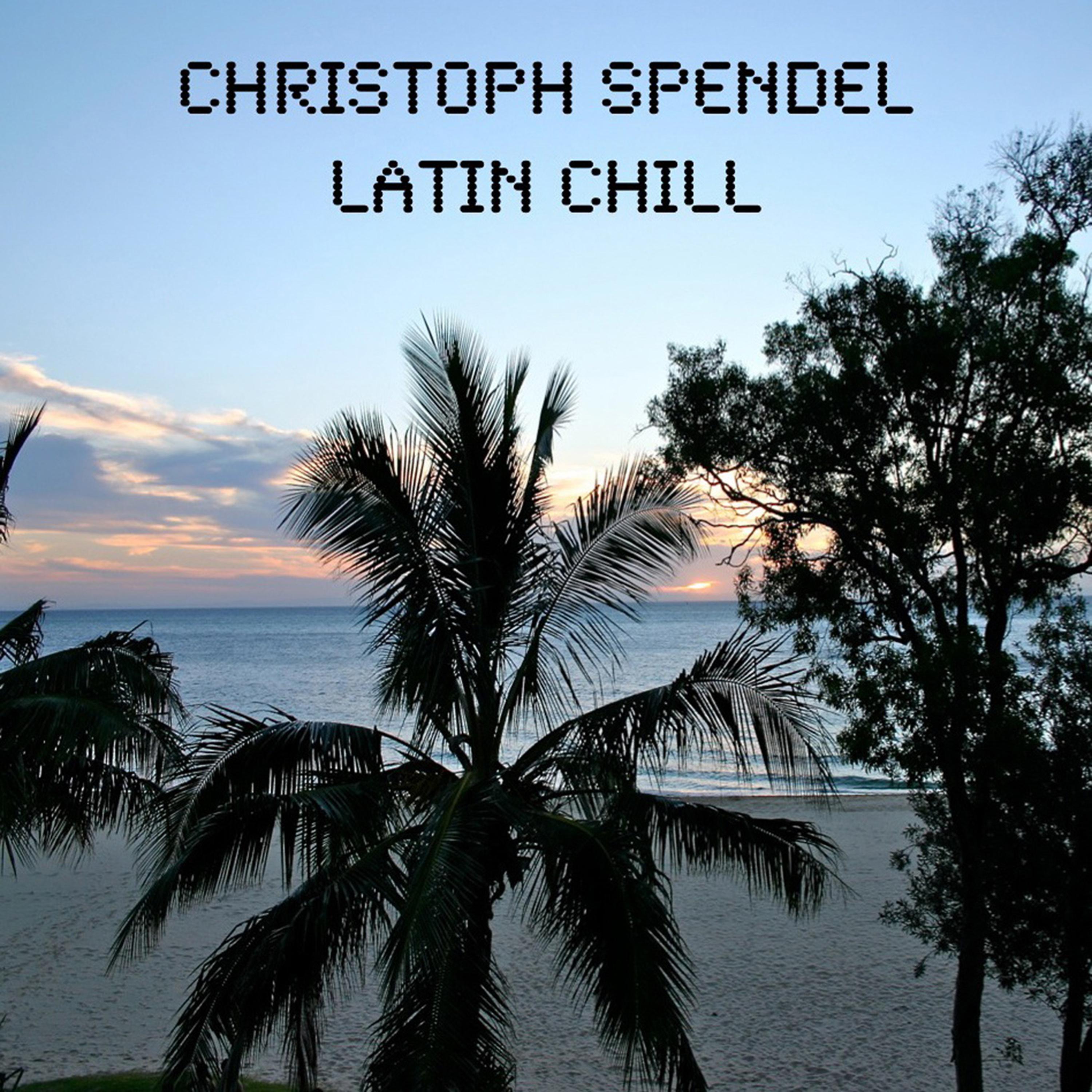 Постер альбома Latin Chill