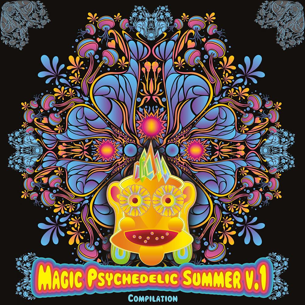 Постер альбома Magic Psychedelic Summer V.1
