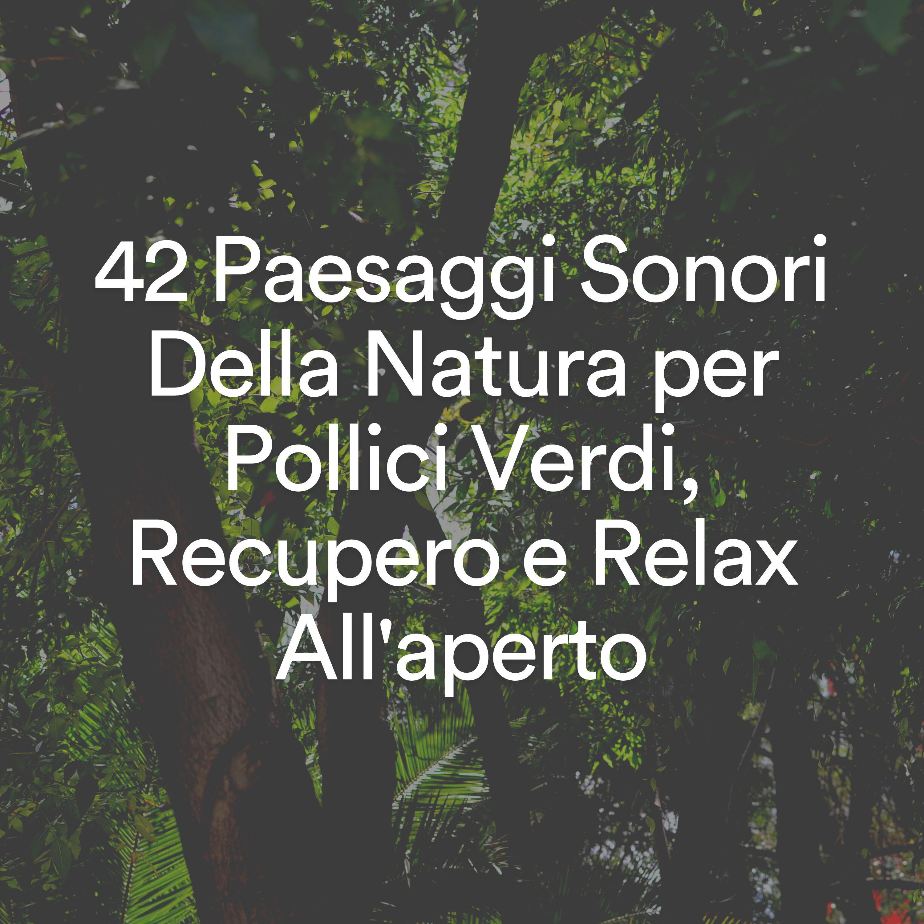 Постер альбома 42 Paesaggi Sonori Della Natura per Pollici Verdi, Recupero e Relax All'aperto