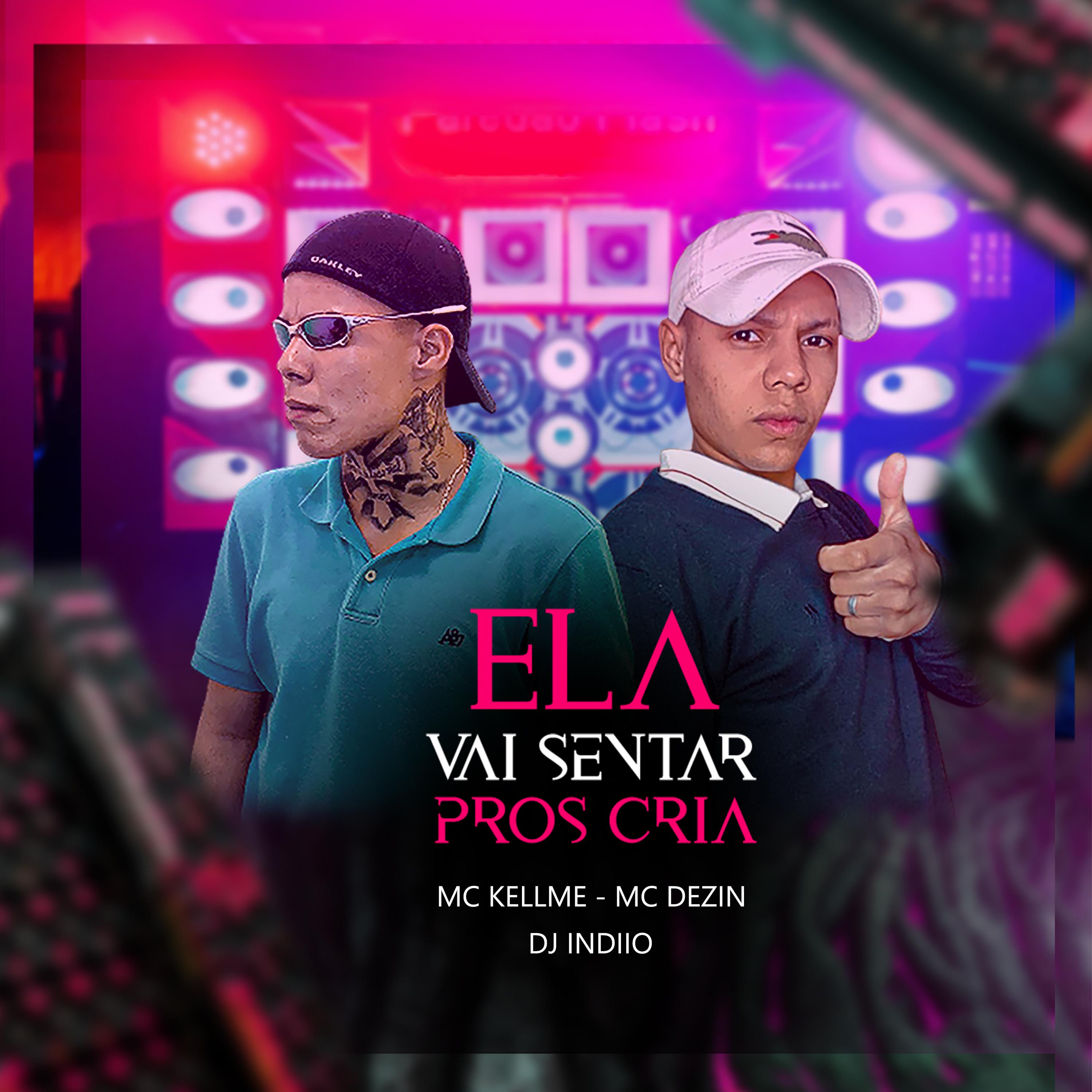 Постер альбома Ela Vai Senta Pros Cria