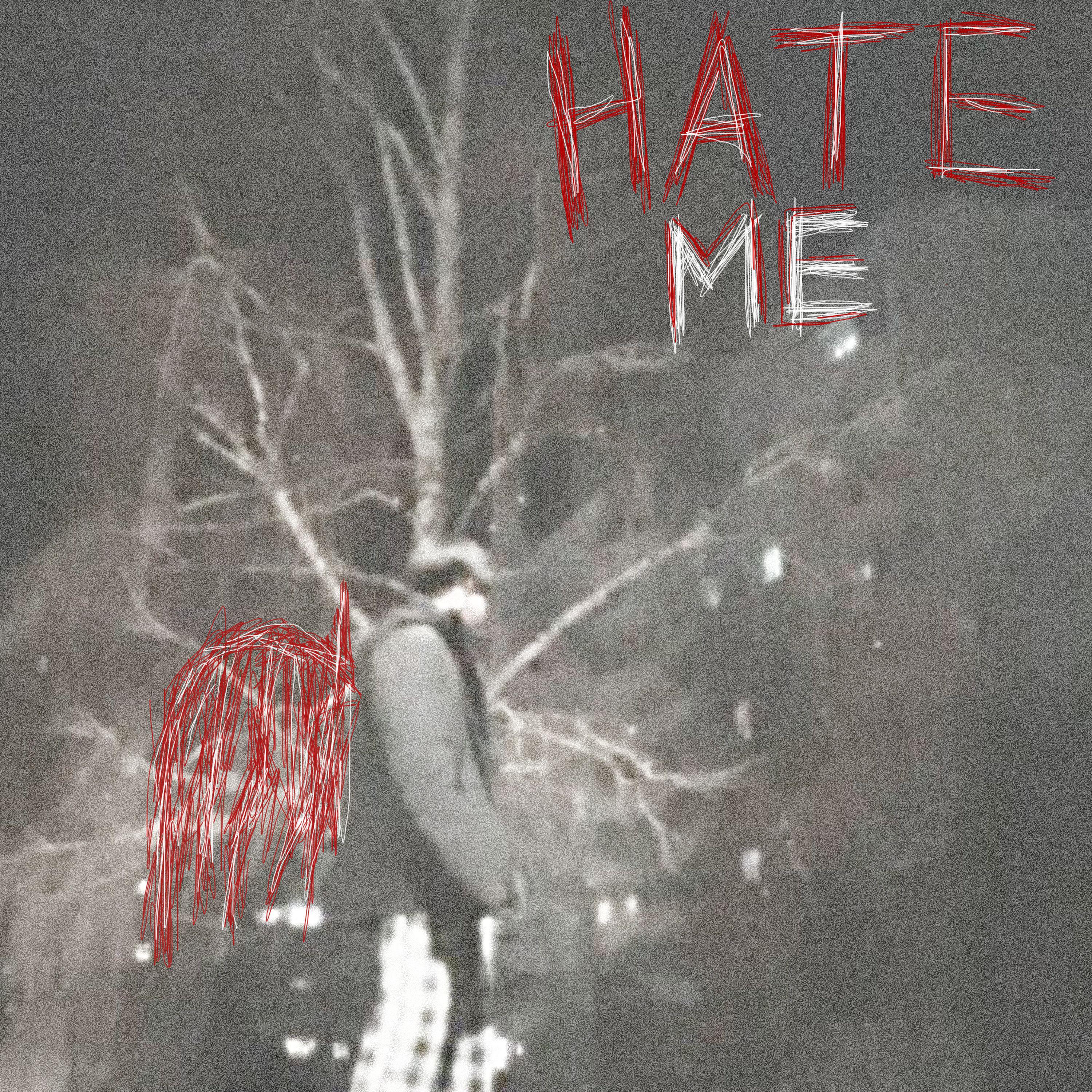 Постер альбома Hate Me