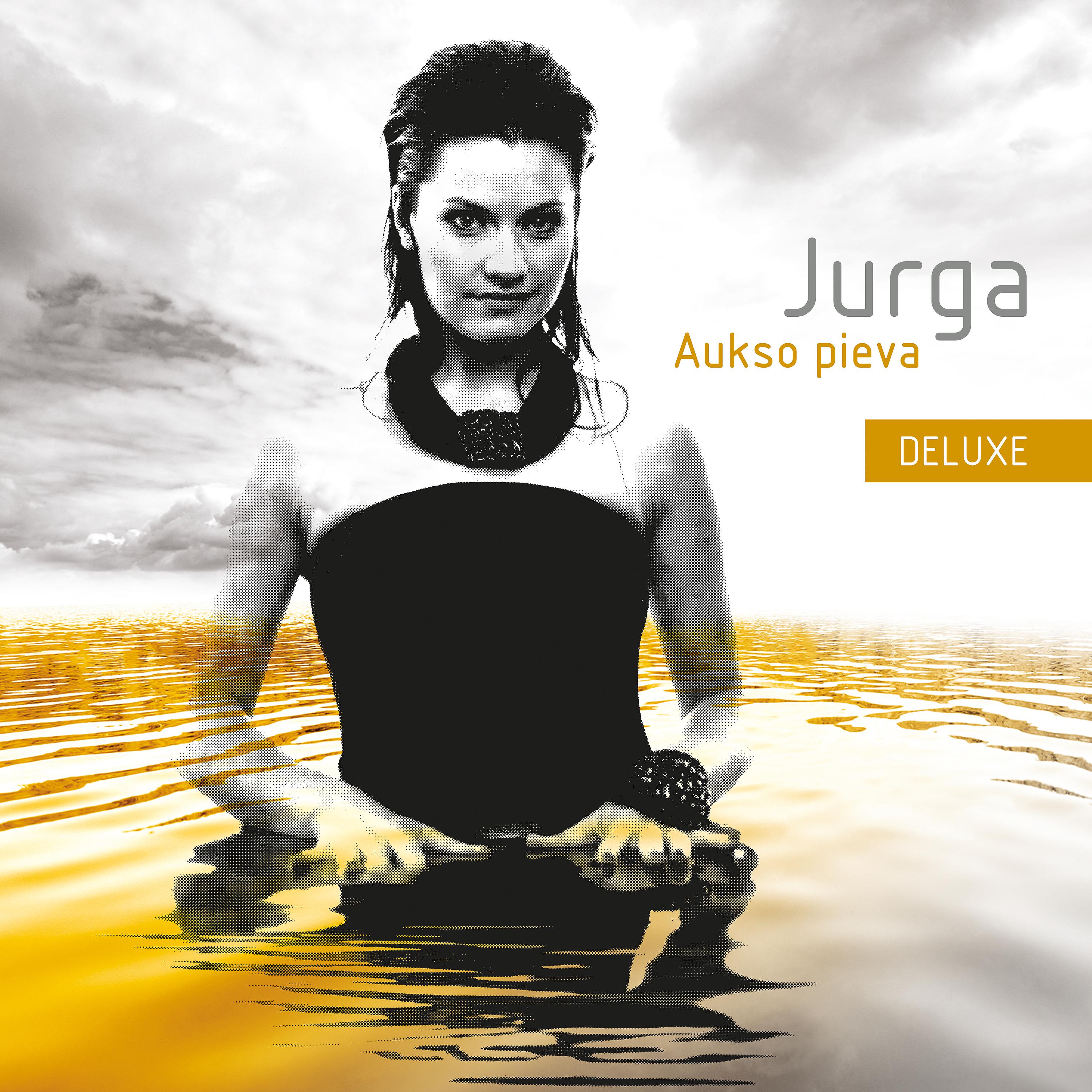 Постер альбома Aukso pieva (Deluxe)