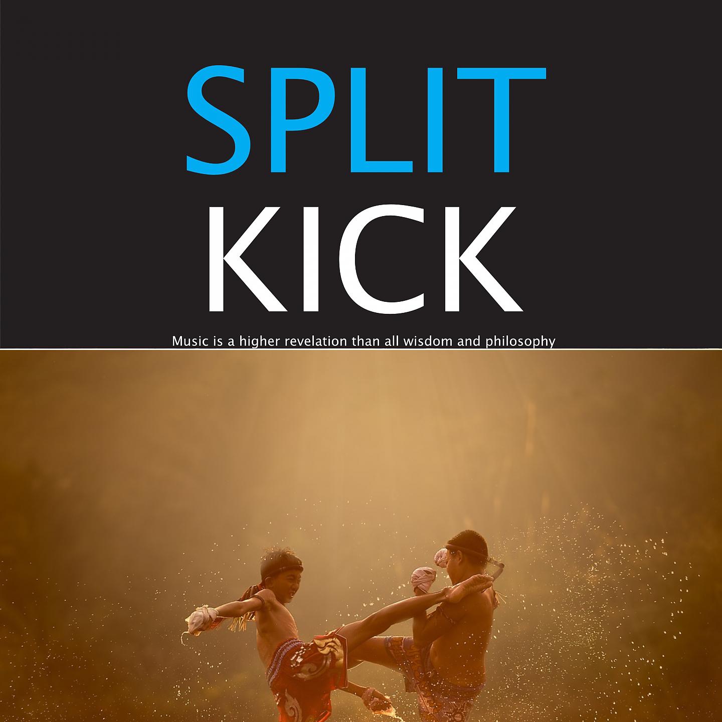 Постер альбома Split Kick