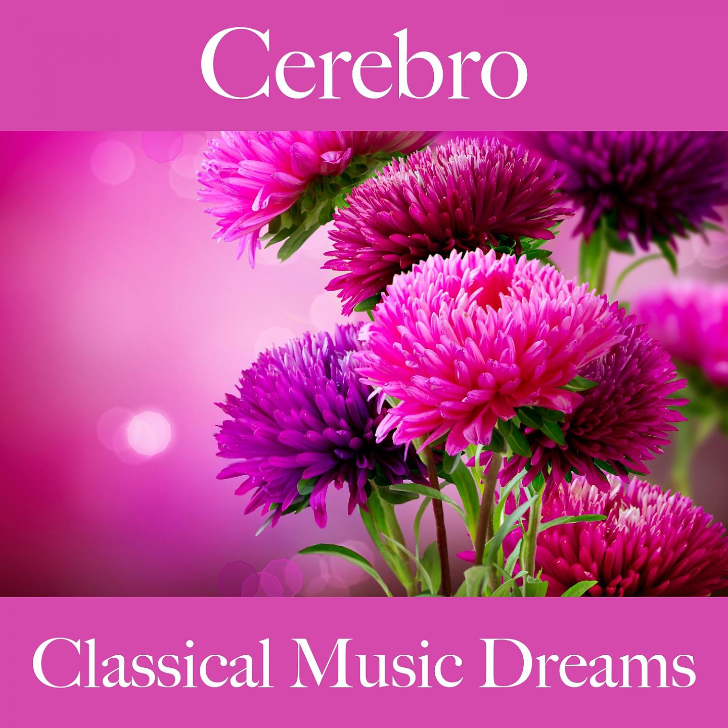 Постер альбома Cerebro: Classical Music Dreams - La Mejor Música Para Descansarse