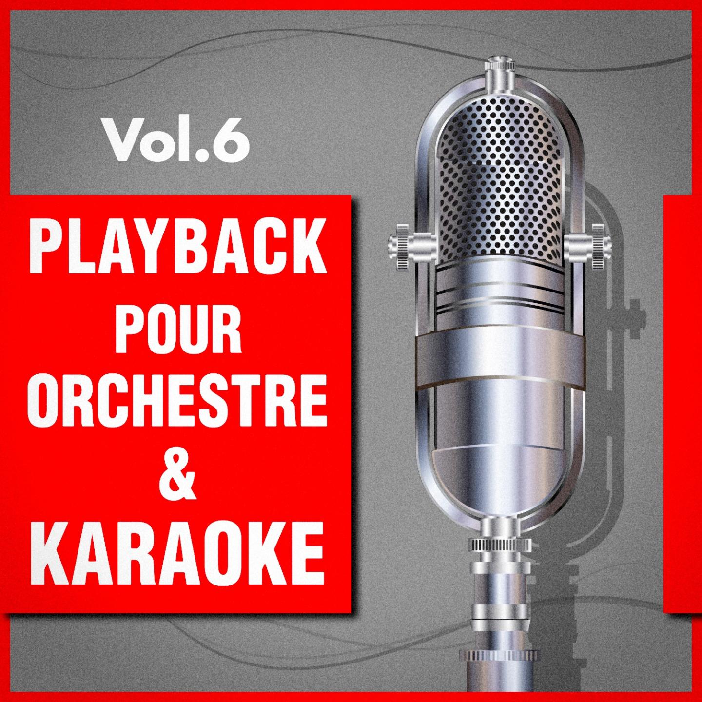 Постер альбома Playback pour orchestre & Karaoké, Vol. 6
