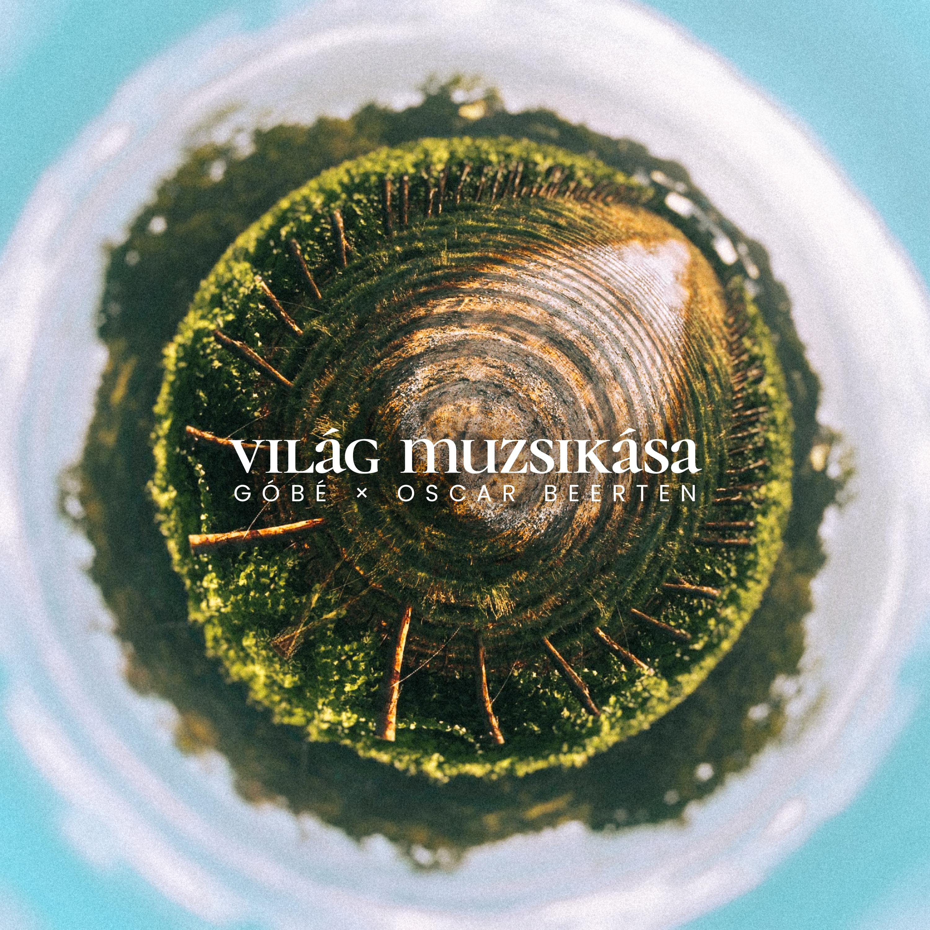 Постер альбома Világ Muzsikása