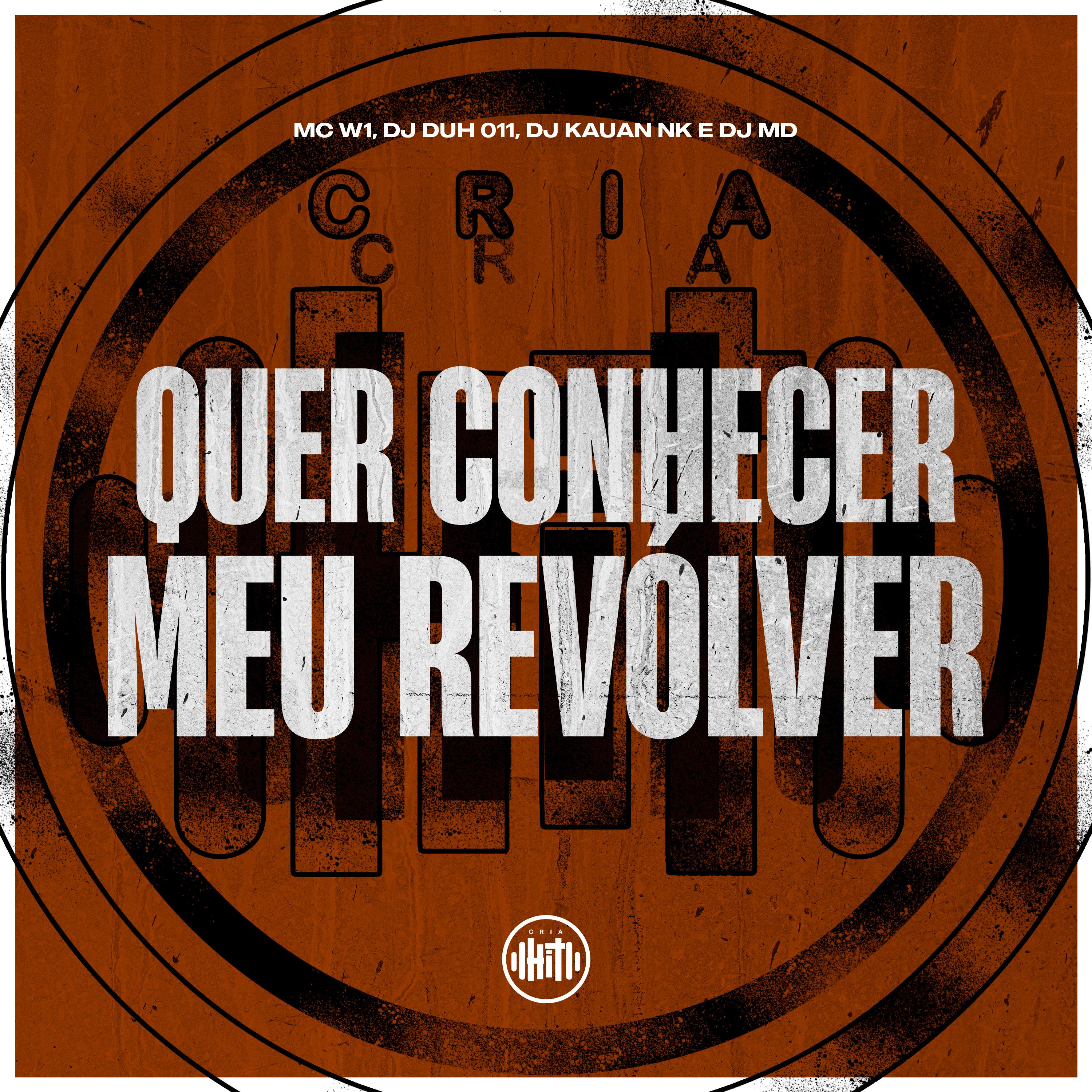 Постер альбома Mtg Quer Conhecer Meu Revolver
