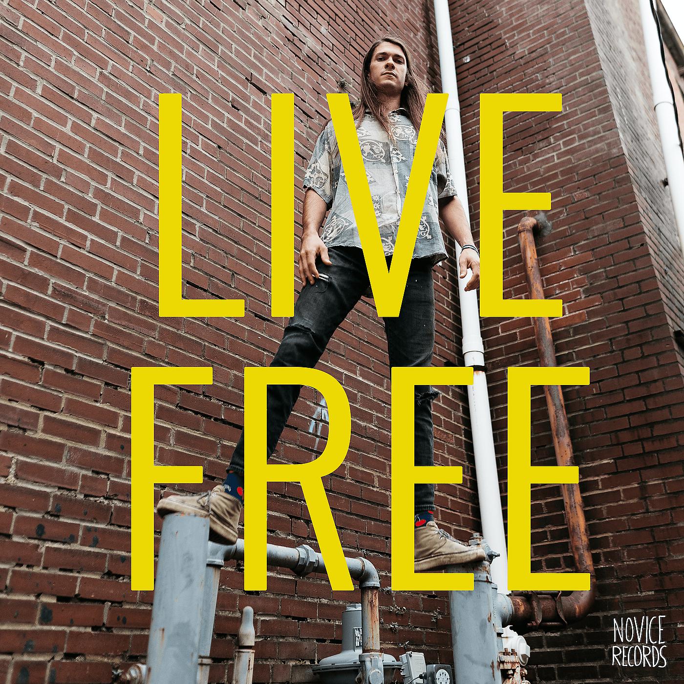 Постер альбома Live Free