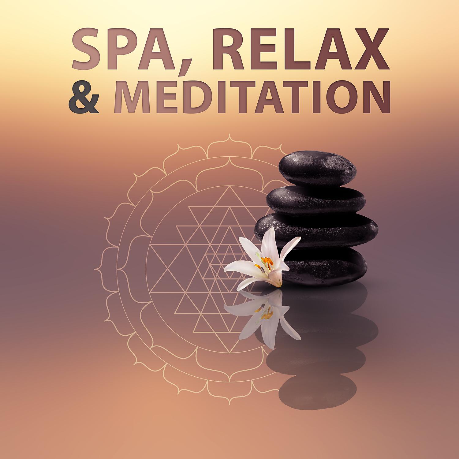 Постер альбома Spa, Relax & Meditation: Top 100 Relaxing Tracks for Gentle Massage, Deep Meditation, Complete Relax
